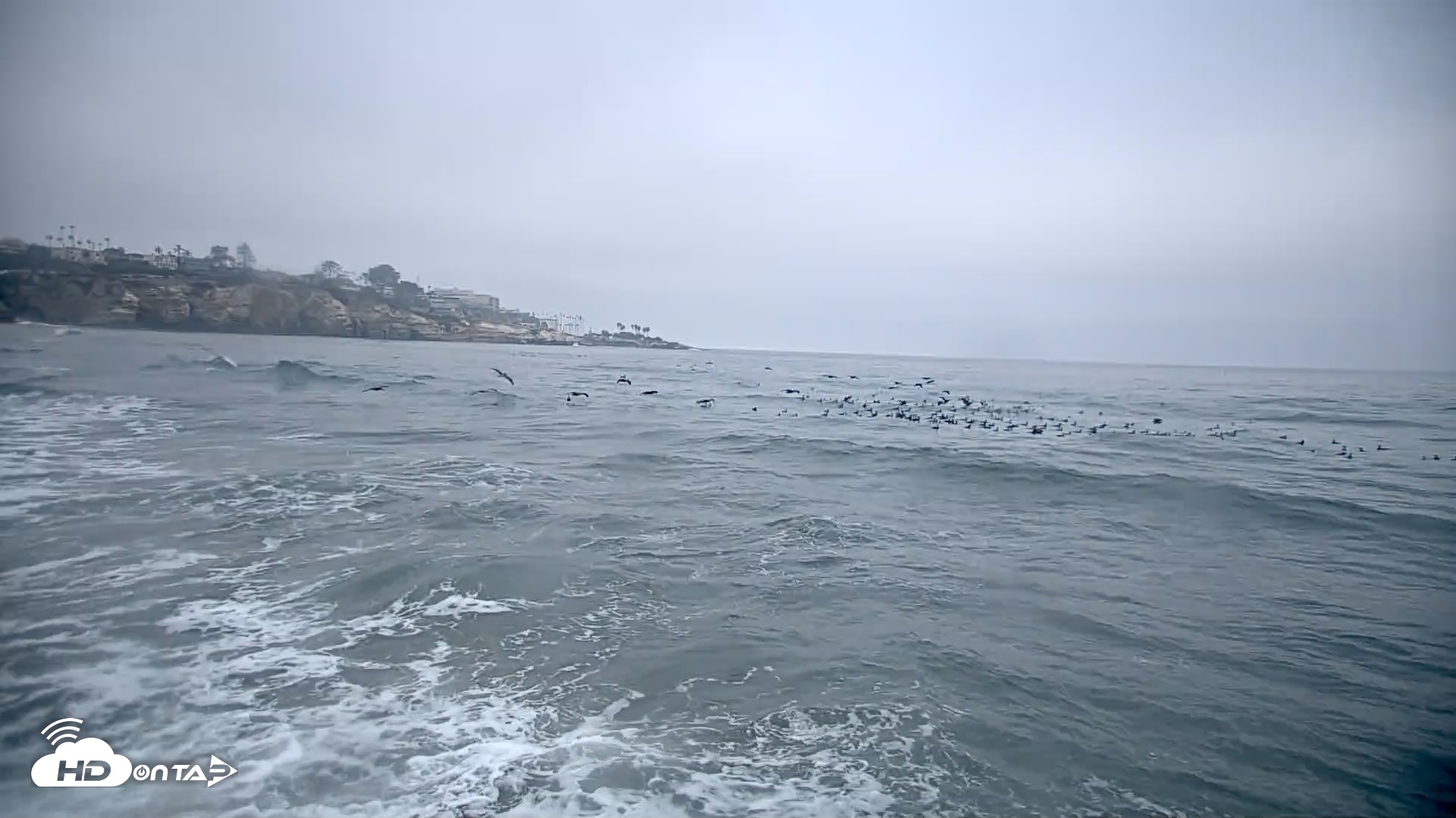 Snapshot of La Jolla Shores Live Surf Cam taken Oct 8, 2026, 7:24am PDT