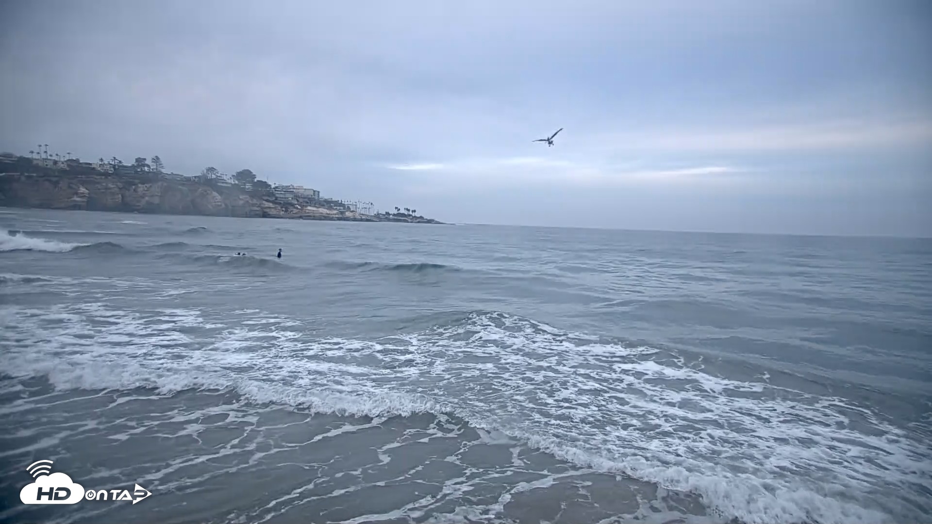 Snapshot of La Jolla Shores Live Surf Cam taken Oct 10, 2026, 7:08am PDT
