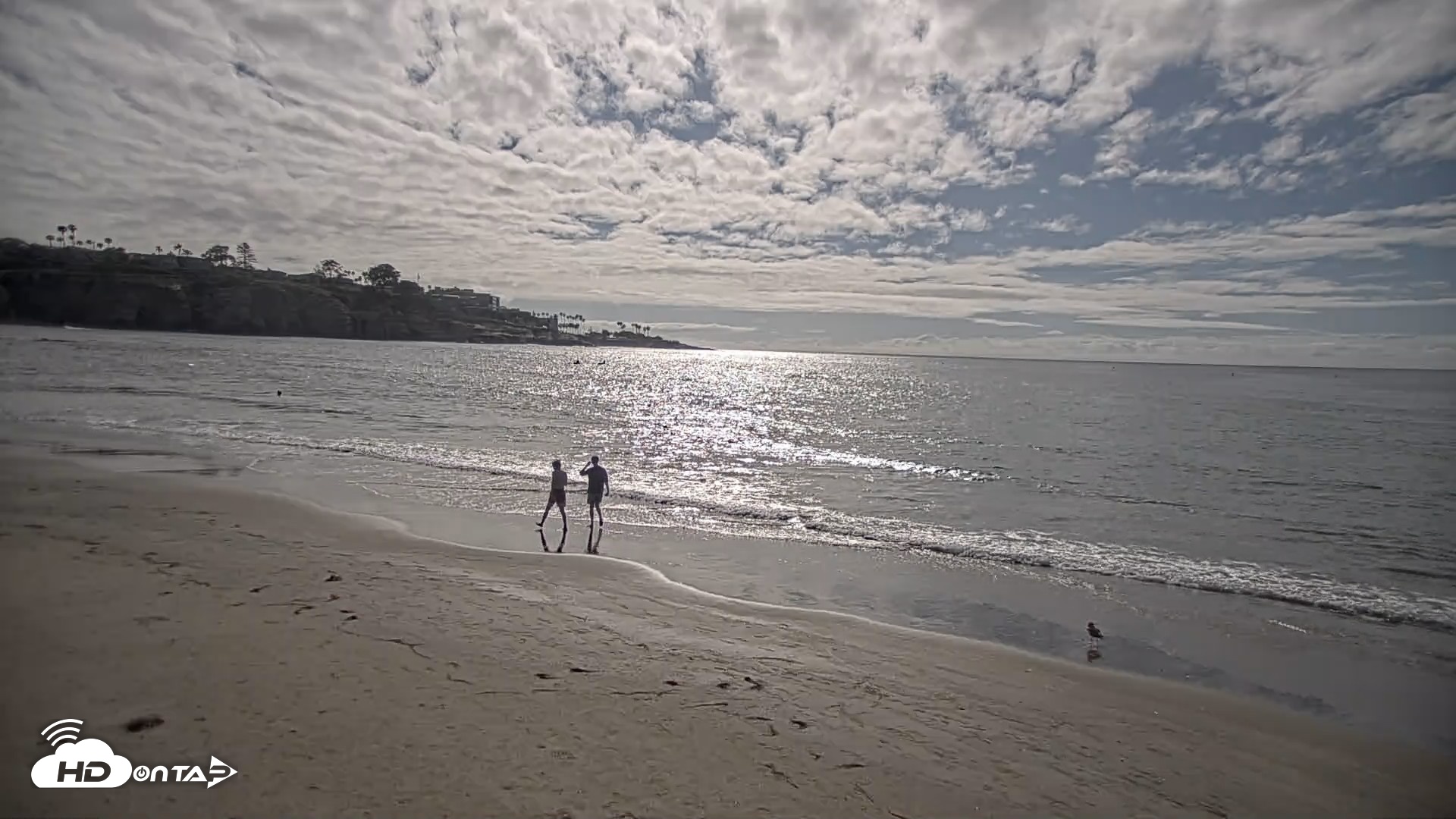 Snapshot of La Jolla Shores Live Surf Cam taken Apr 21, 2026, 4:41pm PDT