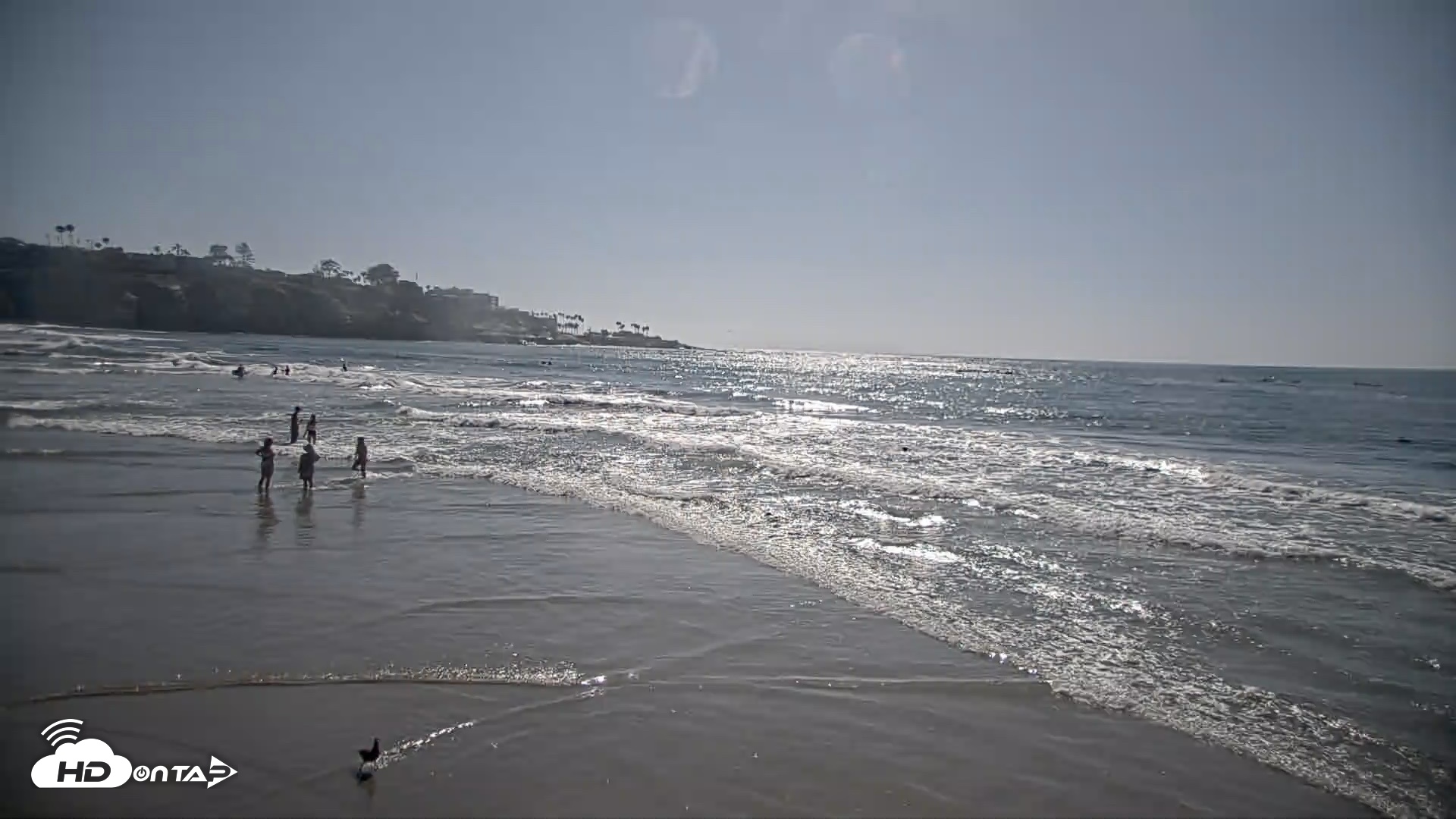 Snapshot of La Jolla Shores Live Surf Cam taken Jul 28, 2026, 4:38pm PDT