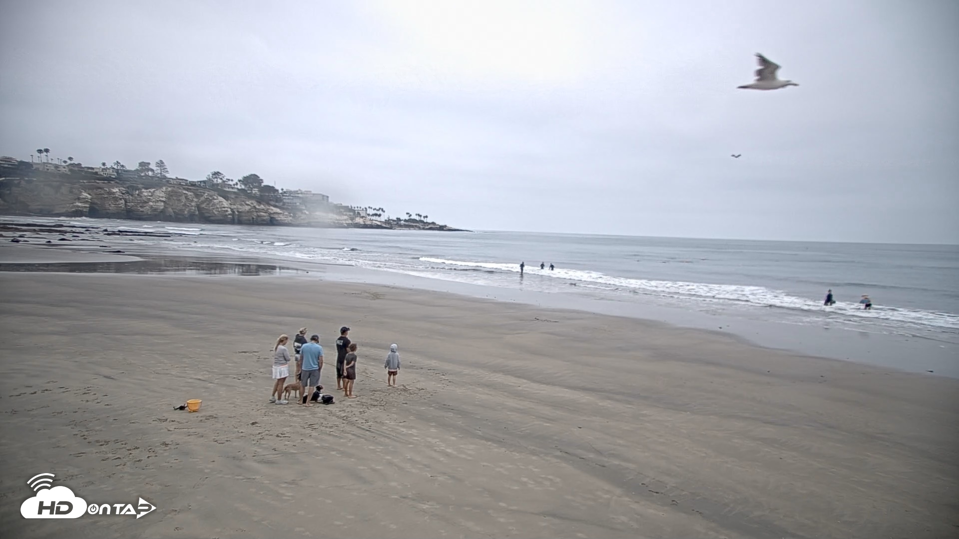 Snapshot of La Jolla Shores Live Surf Cam taken Jul 31, 2026, 7:04am PDT
