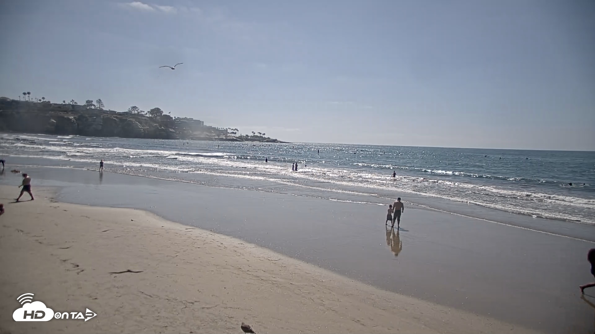 Snapshot of La Jolla Shores Live Surf Cam taken Jul 30, 2026, 3:45pm PDT