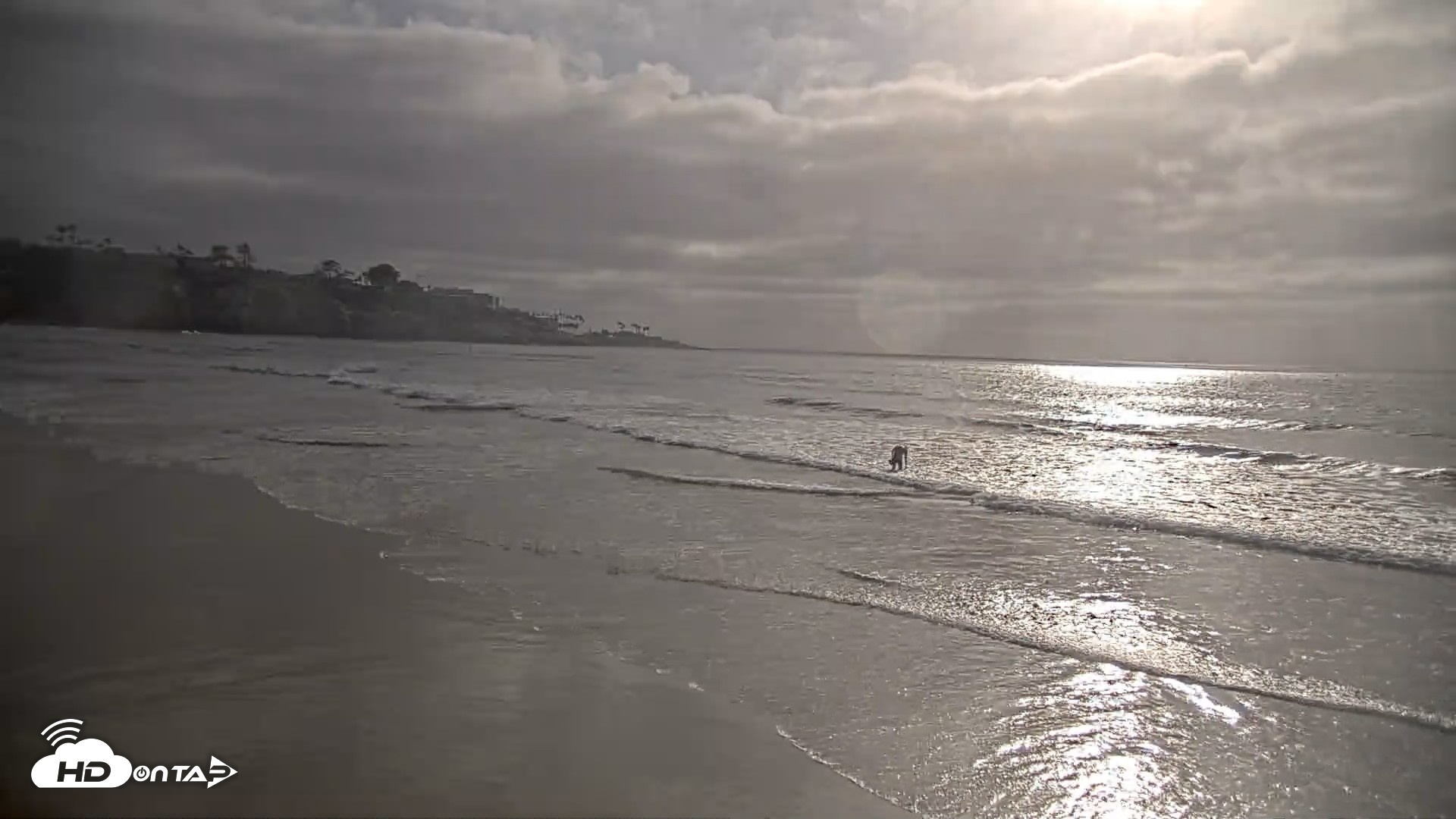 Snapshot of La Jolla Shores Live Surf Cam taken Jun 4, 2026, 6:07pm PDT