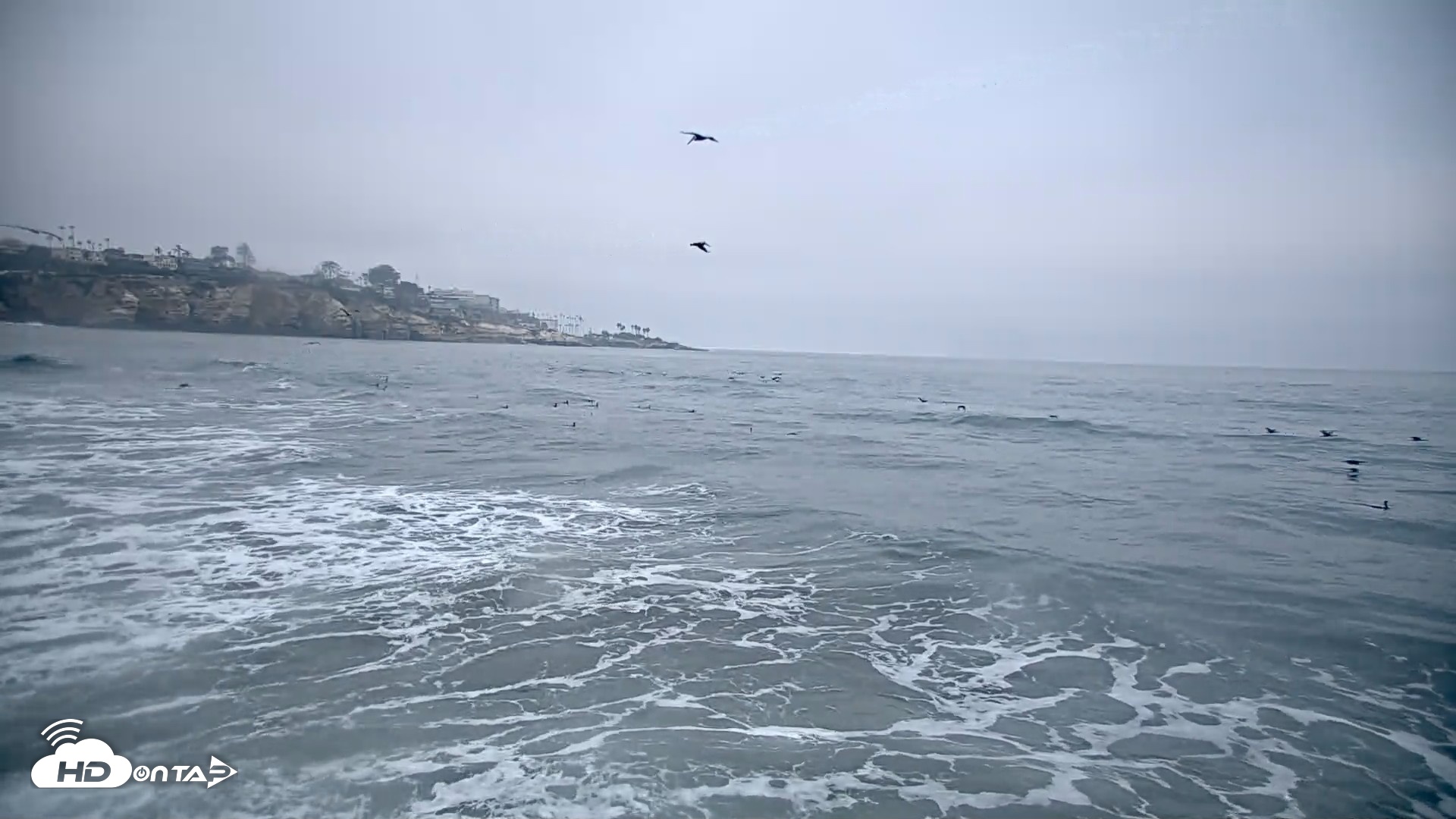 Snapshot of La Jolla Shores Live Surf Cam taken Oct 8, 2026, 7:23am PDT