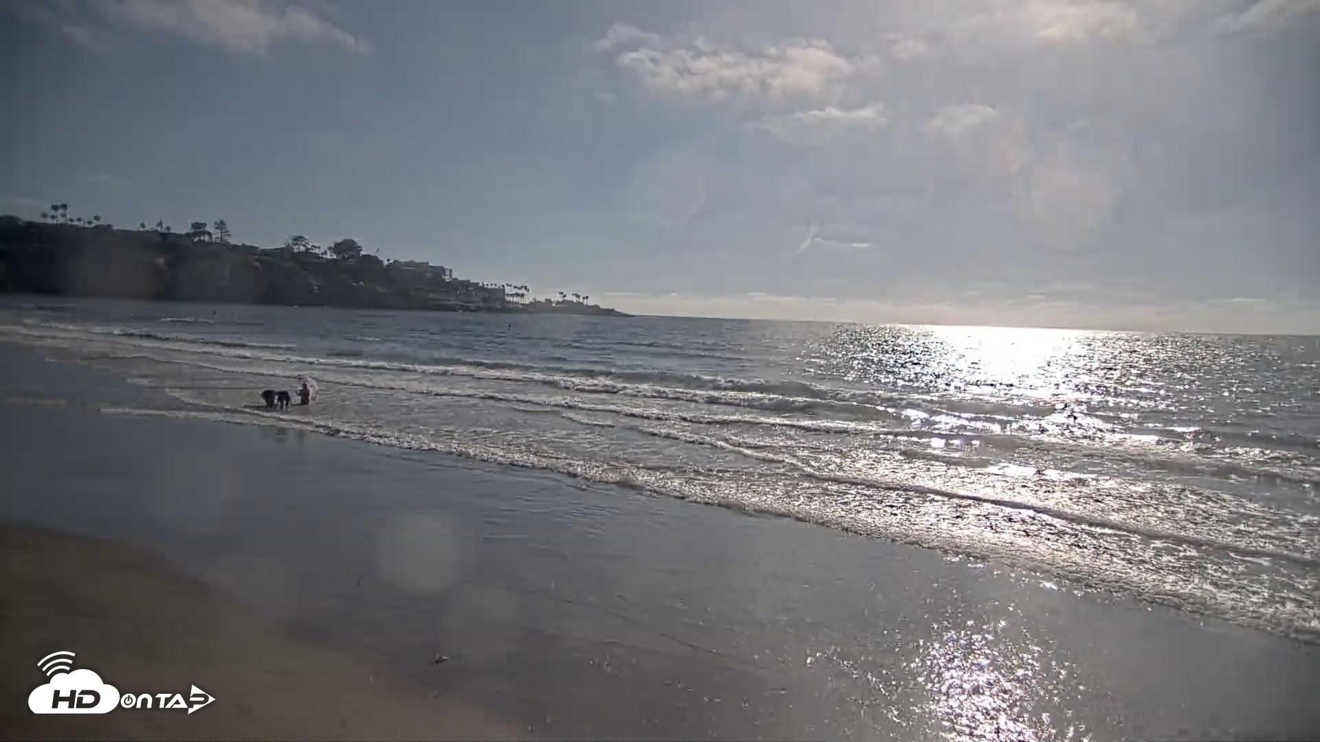 Snapshot of La Jolla Shores Live Surf Cam taken Jul 5, 2026, 5:58pm PDT