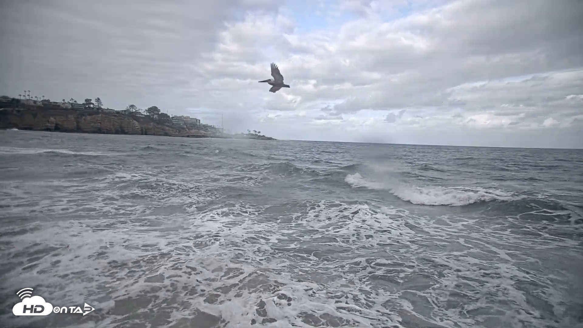 Snapshot of La Jolla Shores Live Surf Cam taken Oct 12, 2026, 8:50am PDT