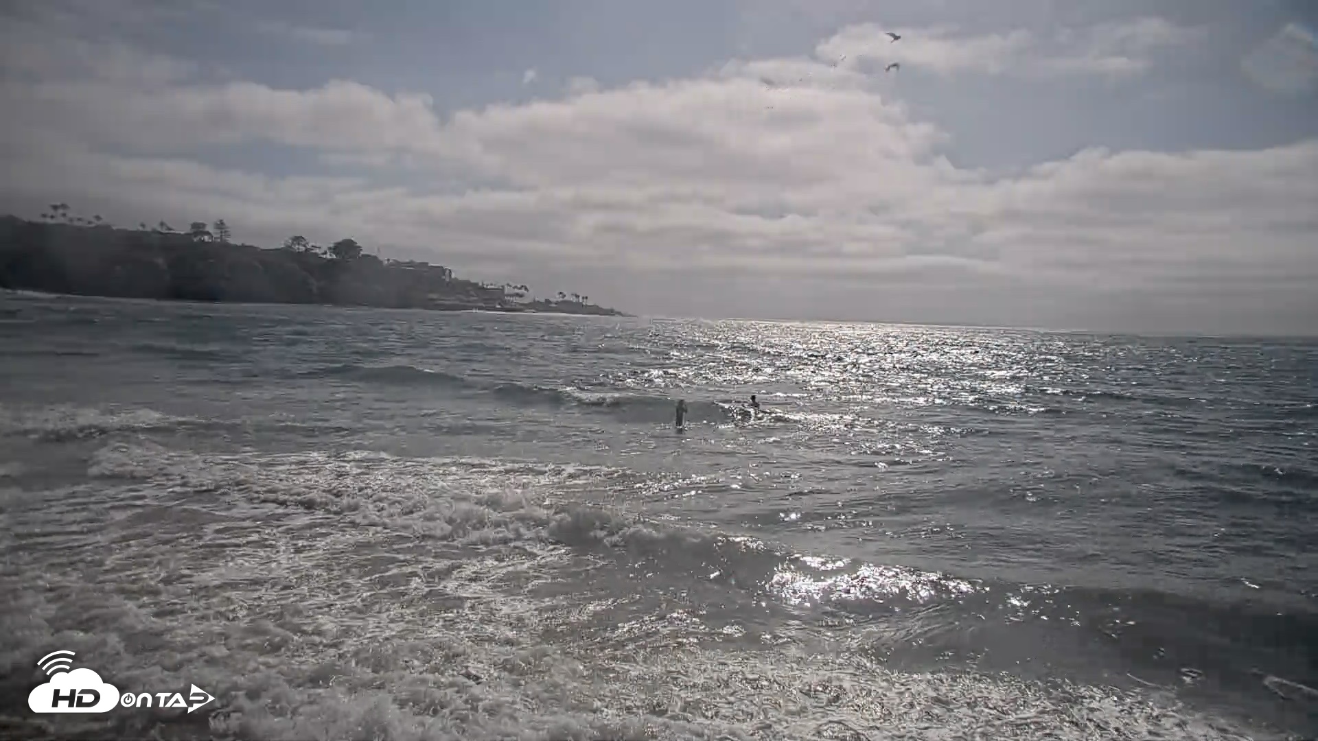 Snapshot of La Jolla Shores Live Surf Cam taken Jun 10, 2026, 4:47pm PDT