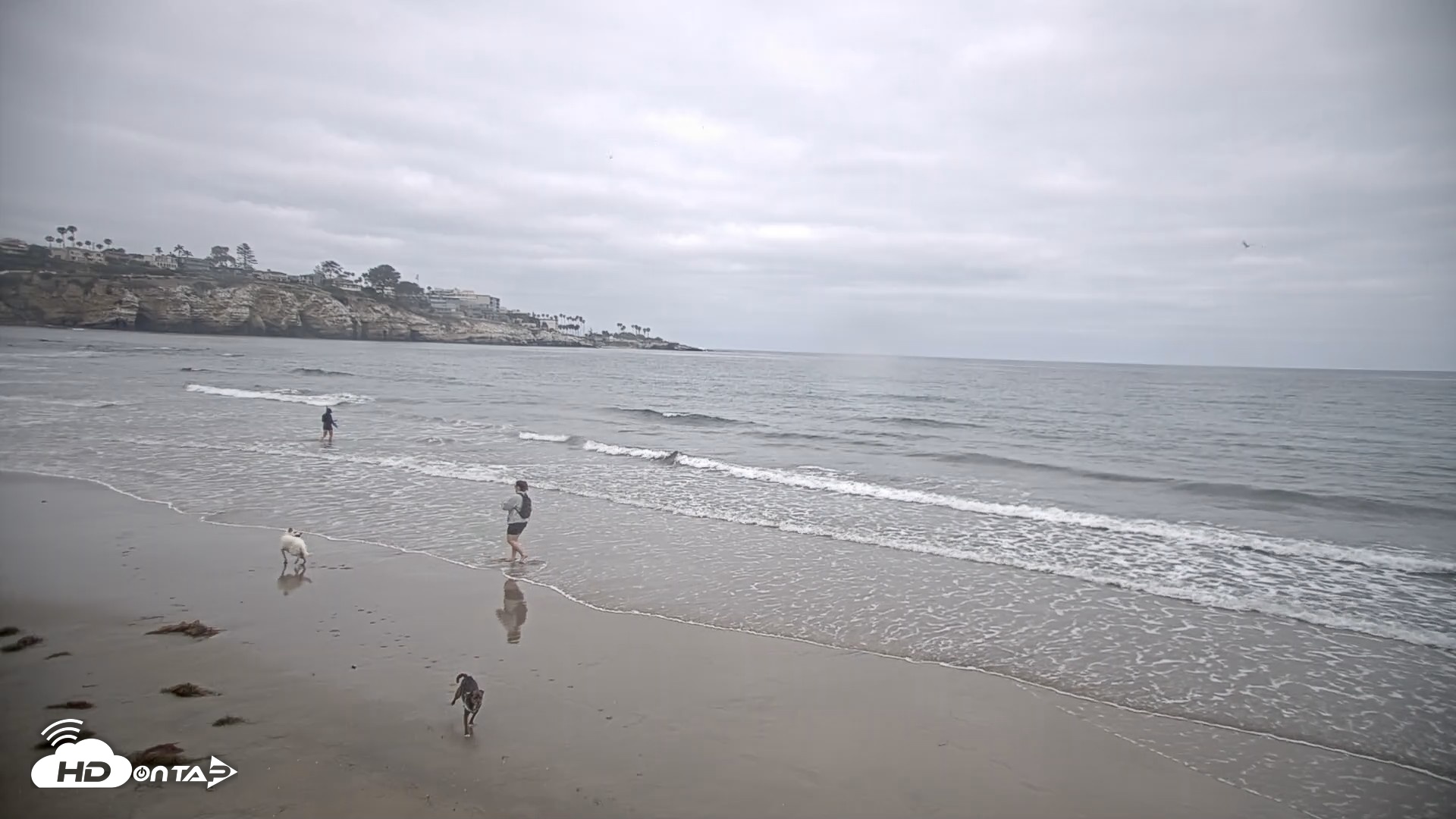 Snapshot of La Jolla Shores Live Surf Cam taken Jun 25, 2026, 7:49am PDT