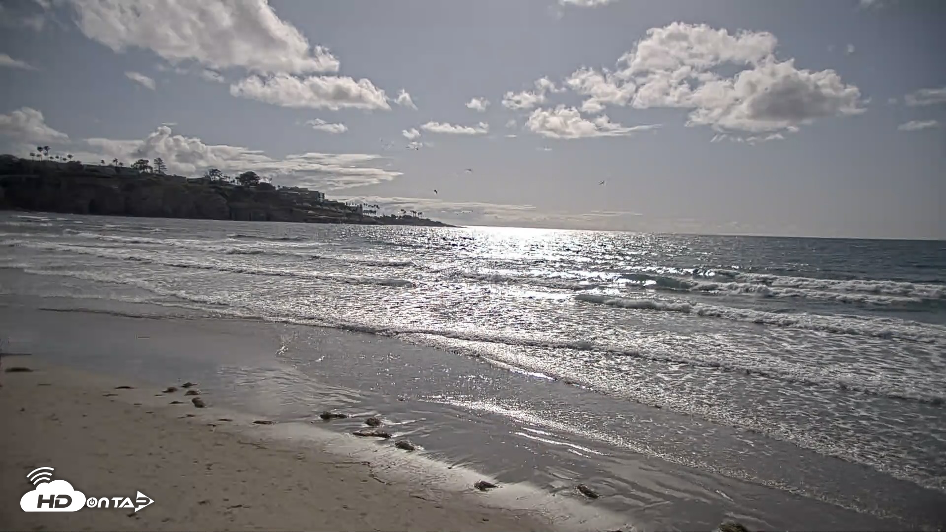 Snapshot of La Jolla Shores Live Surf Cam taken Apr 26, 2026, 4:51pm PDT