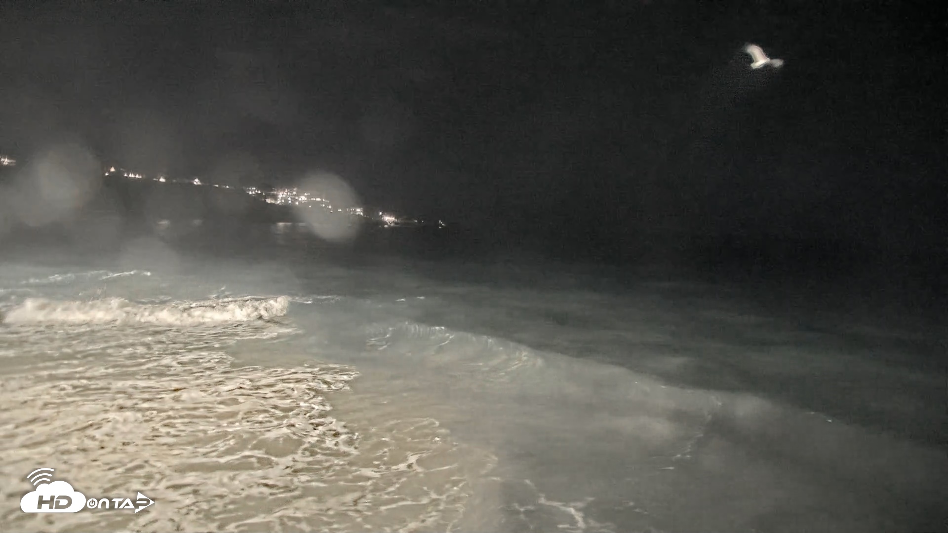 Snapshot of La Jolla Shores Live Surf Cam taken Jul 30, 2026, 10:22pm PDT