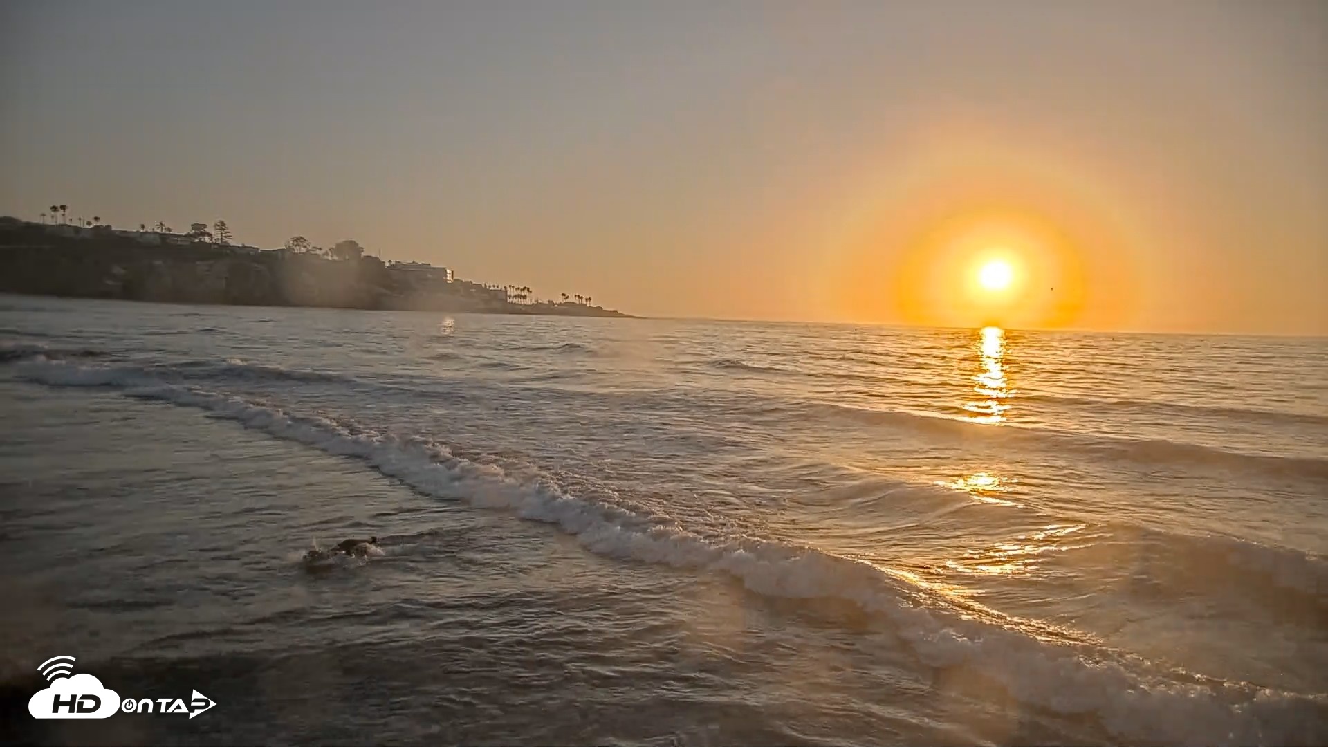 Snapshot of La Jolla Shores Live Surf Cam taken Aug 22, 2026, 7:10pm PDT