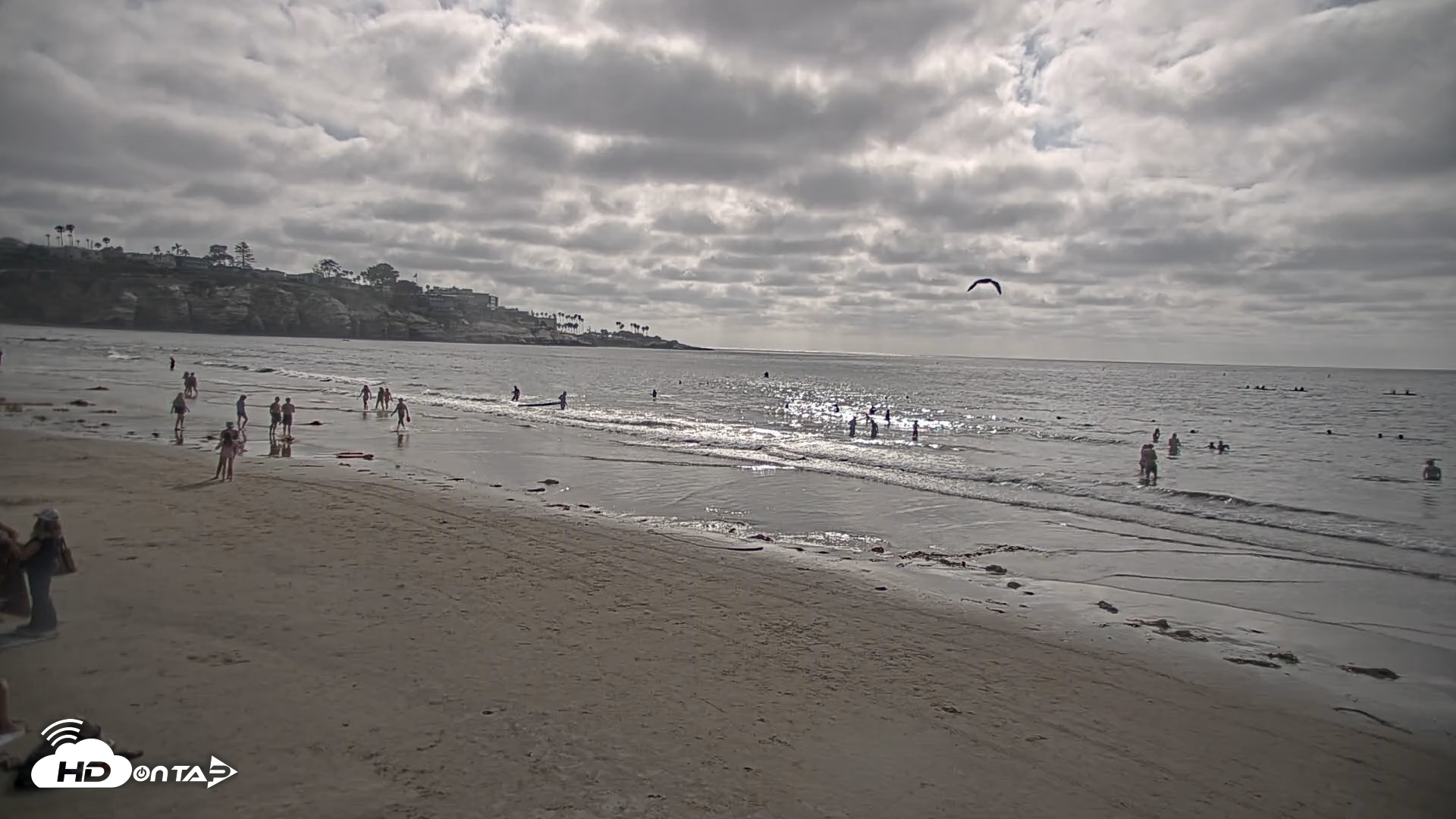 Snapshot of La Jolla Shores Live Surf Cam taken Aug 12, 2026, 5:06pm PDT