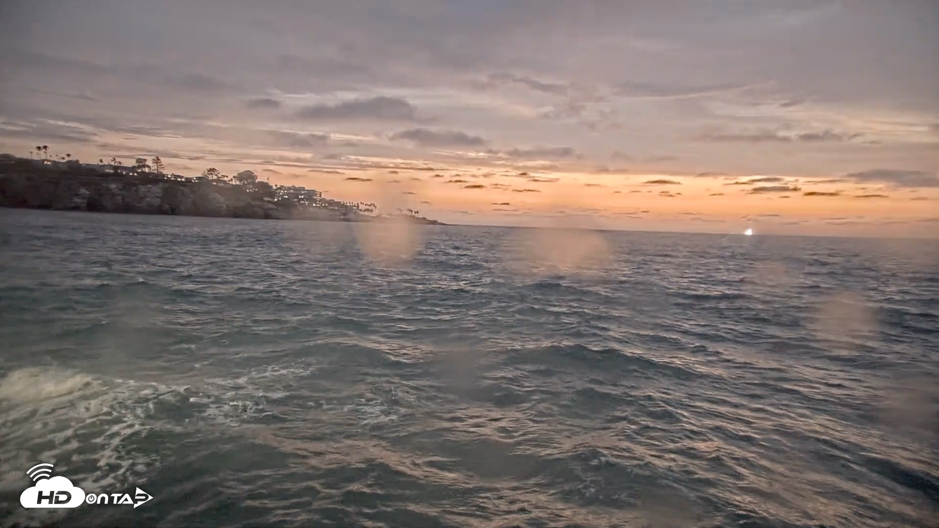 Snapshot of La Jolla Shores Live Surf Cam taken Aug 10, 2026, 8:00pm PDT