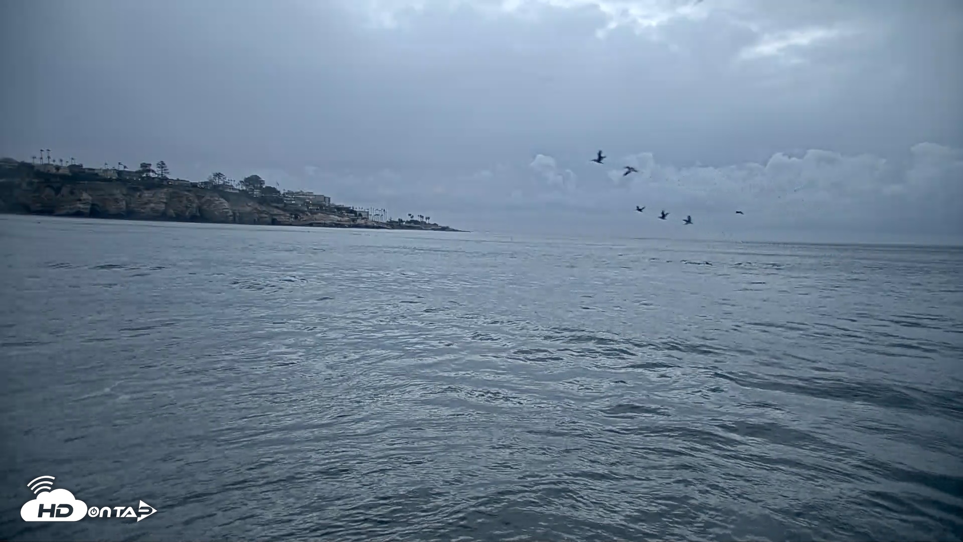 Snapshot of La Jolla Shores Live Surf Cam taken Oct 21, 2026, 6:11pm PDT