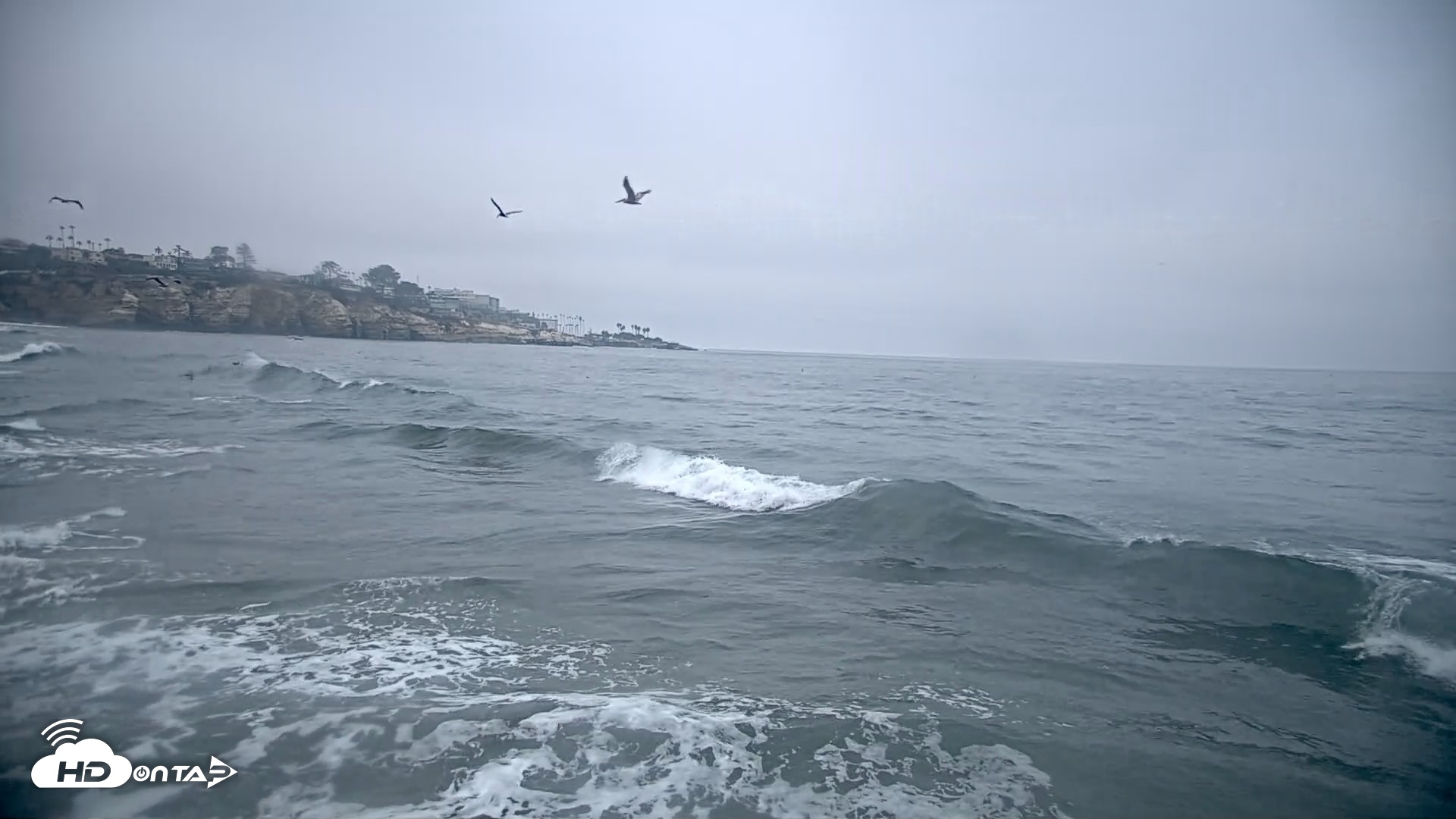 Snapshot of La Jolla Shores Live Surf Cam taken Oct 8, 2026, 7:20am PDT