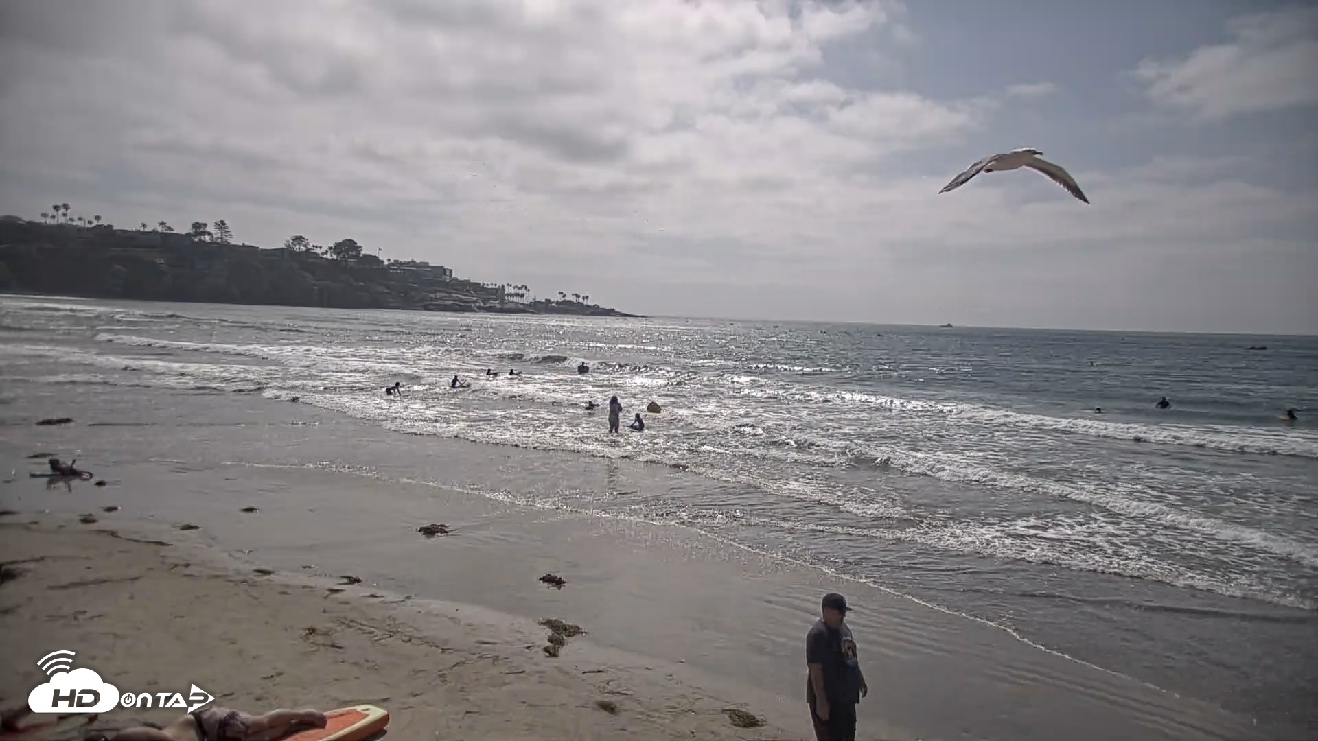 Snapshot of La Jolla Shores Live Surf Cam taken May 10, 2026, 3:34pm PDT