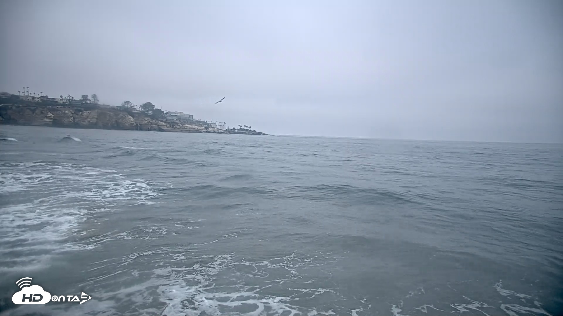 Snapshot of La Jolla Shores Live Surf Cam taken Oct 8, 2026, 7:20am PDT