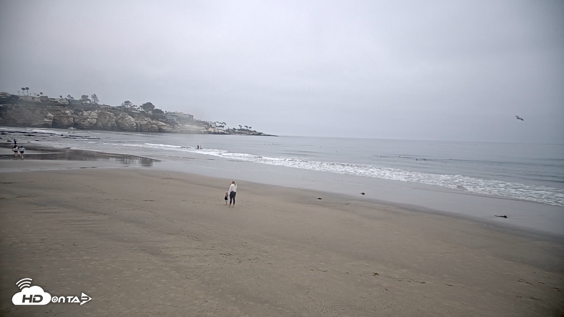 Snapshot of La Jolla Shores Live Surf Cam taken Aug 3, 2026, 7:27am PDT