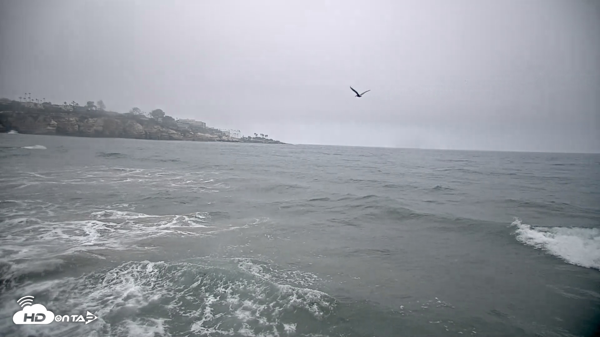 Snapshot of La Jolla Shores Live Surf Cam taken Oct 8, 2026, 7:58am PDT