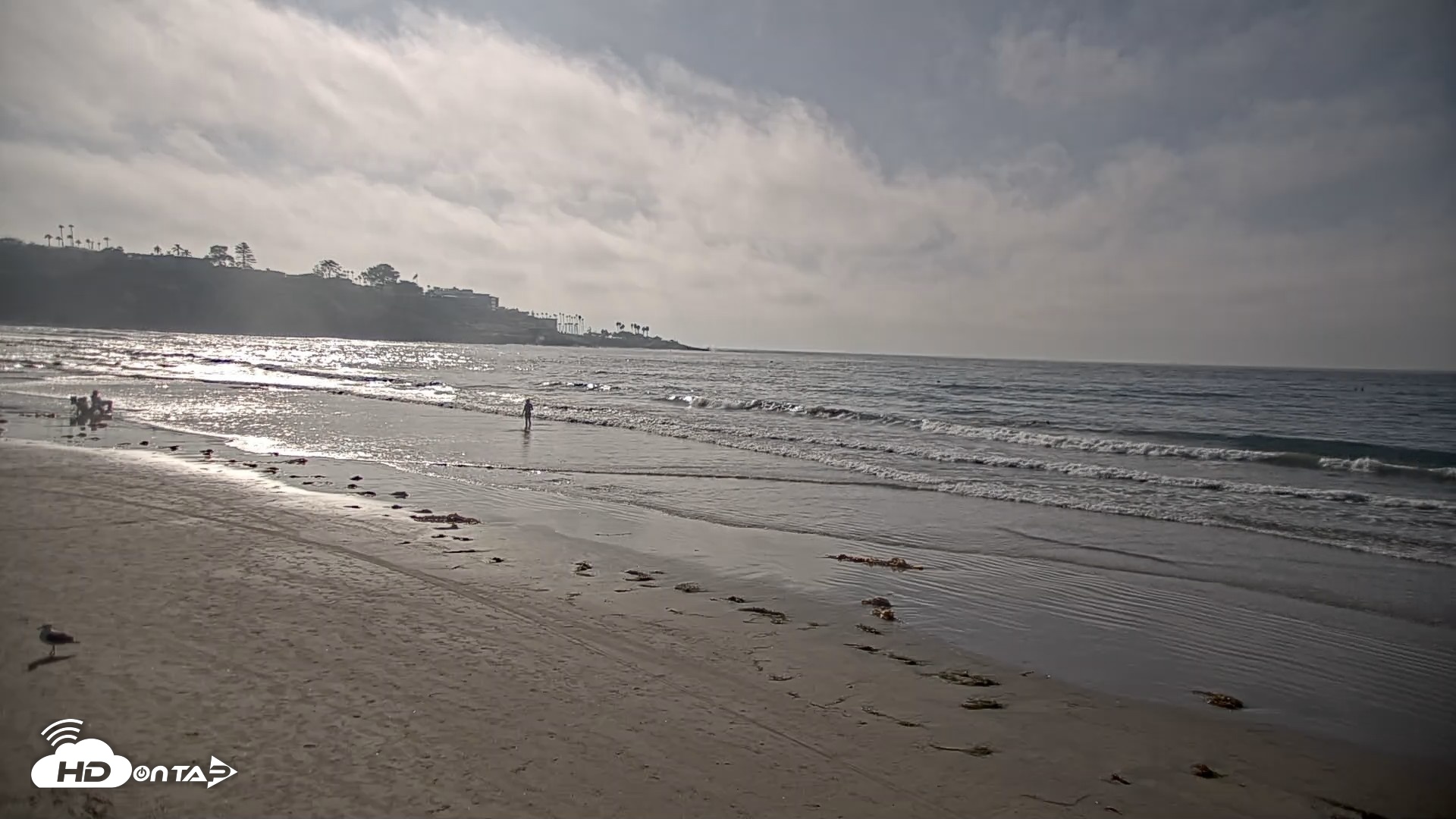 Snapshot of La Jolla Shores Live Surf Cam taken Oct 8, 2026, 4:11pm PDT