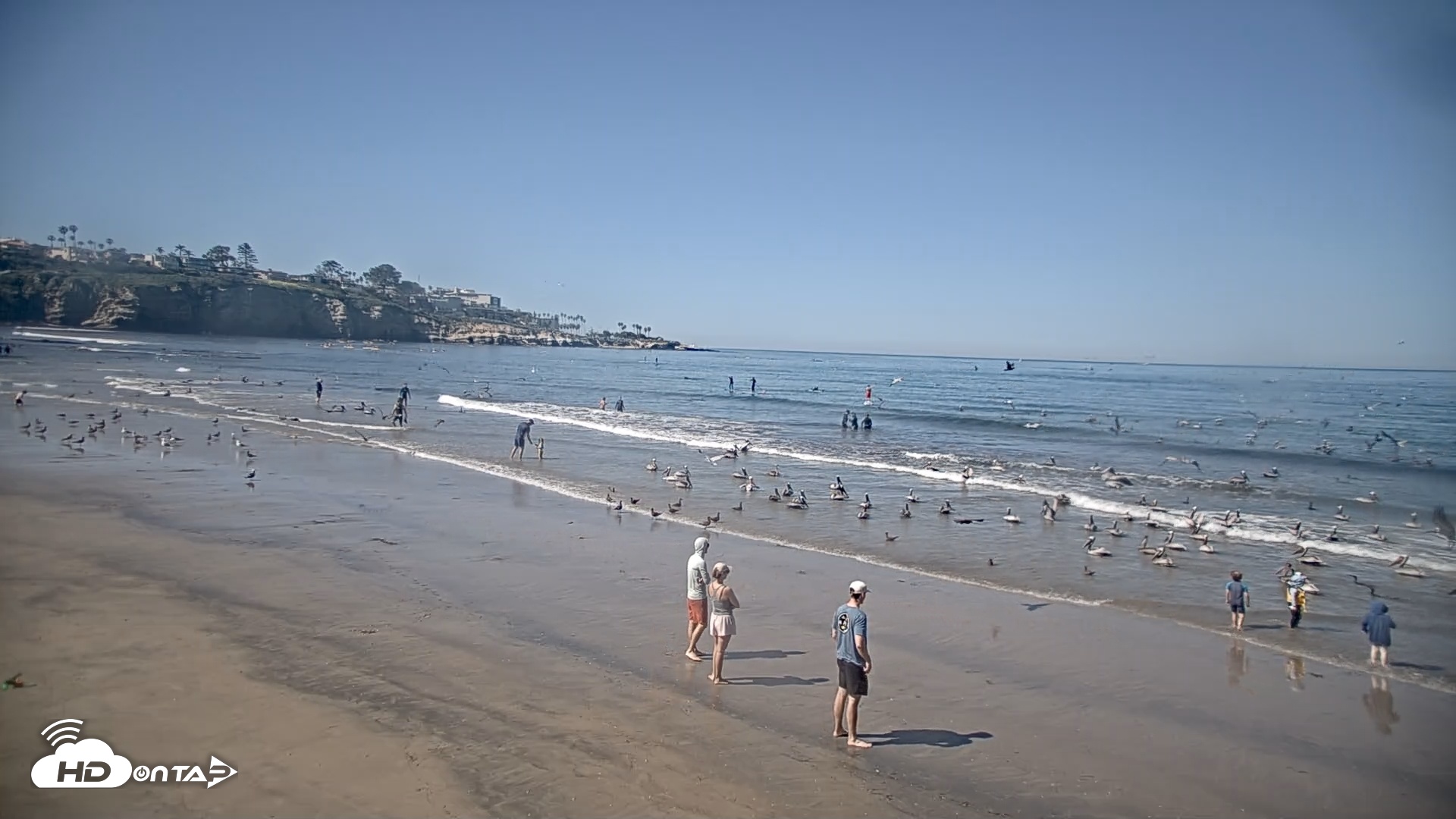 Snapshot of La Jolla Shores Live Surf Cam taken Mar 1, 2026, 10:57am PST