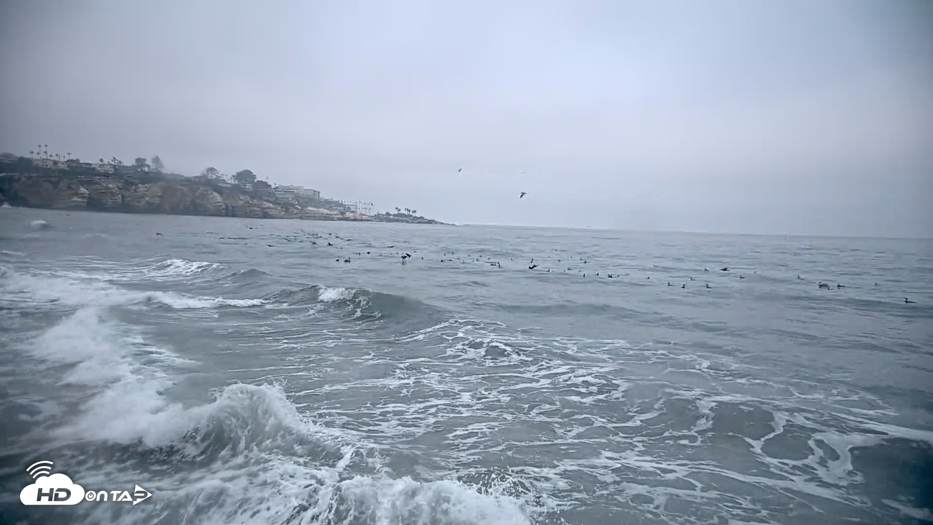 Snapshot of La Jolla Shores Live Surf Cam taken Oct 8, 2026, 7:24am PDT
