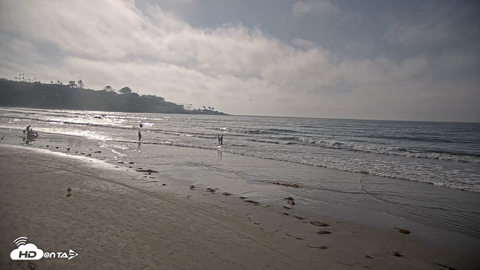Snapshot of La Jolla Shores Live Surf Cam taken Oct 8, 2026, 4:09pm PDT