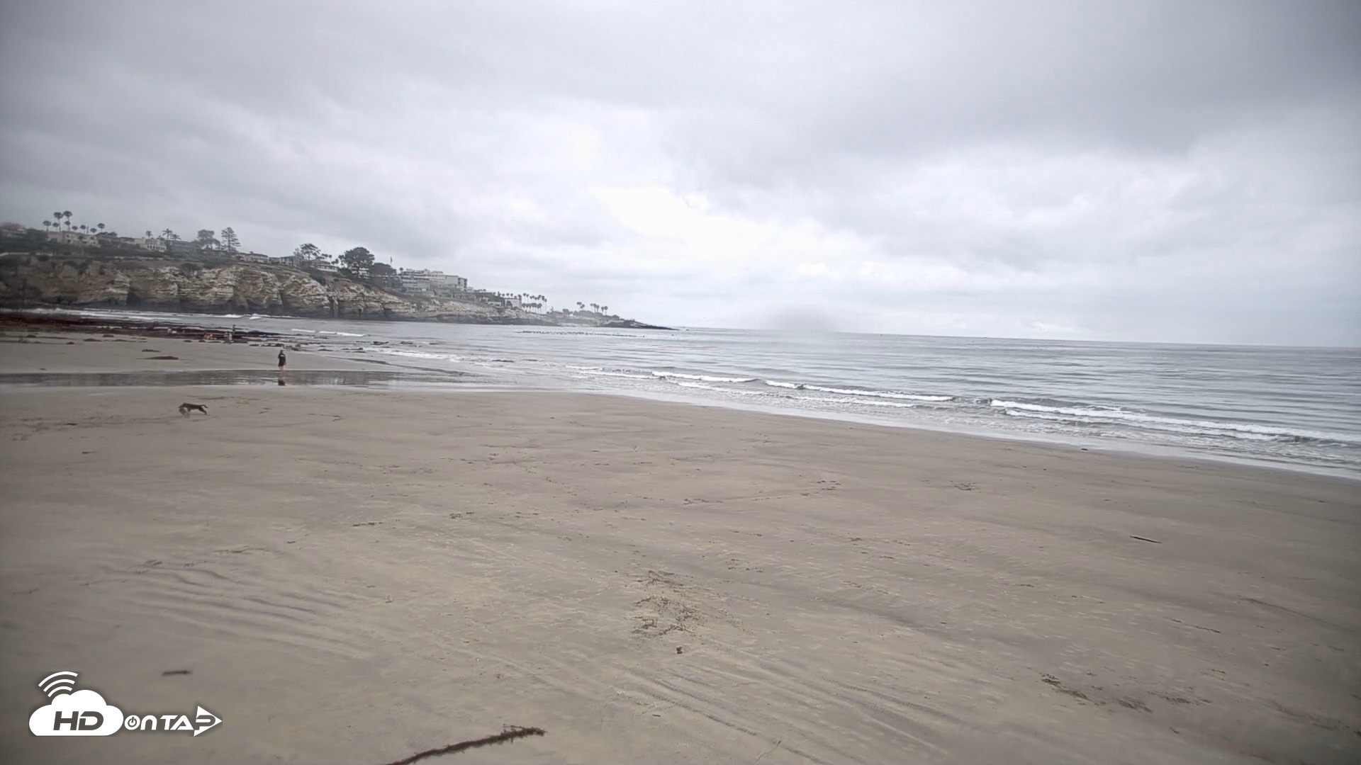 Snapshot of La Jolla Shores Live Surf Cam taken Jun 18, 2026, 8:10am PDT