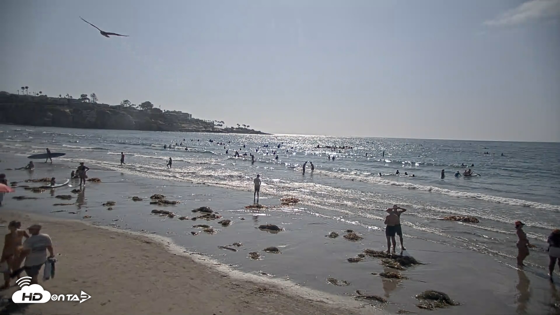 Snapshot of La Jolla Shores Live Surf Cam taken Aug 11, 2026, 4:30pm PDT