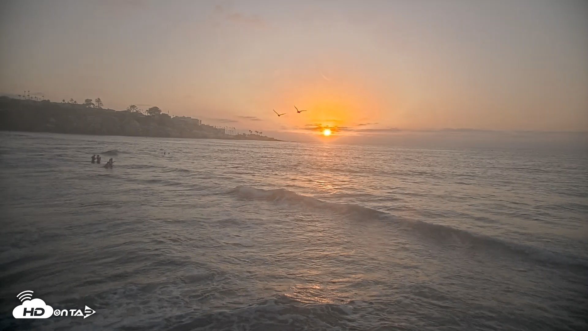 Snapshot of La Jolla Shores Live Surf Cam taken Sep 24, 2026, 6:36pm PDT