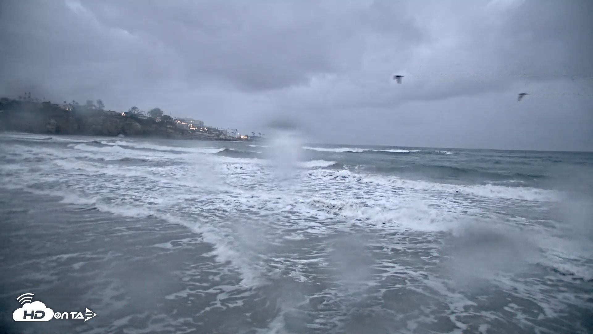 Snapshot of La Jolla Shores Live Surf Cam taken Oct 11, 2026, 6:39am PDT
