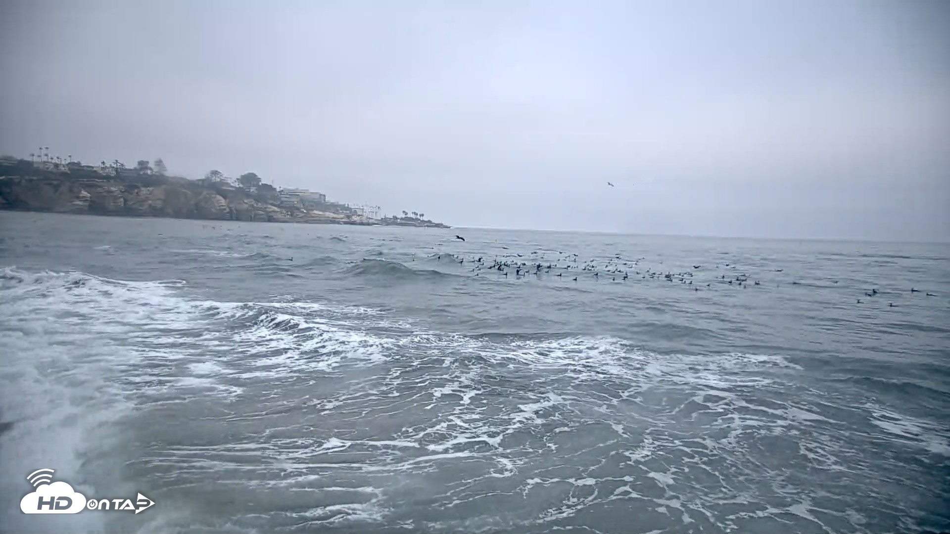 Snapshot of La Jolla Shores Live Surf Cam taken Oct 8, 2026, 7:24am PDT