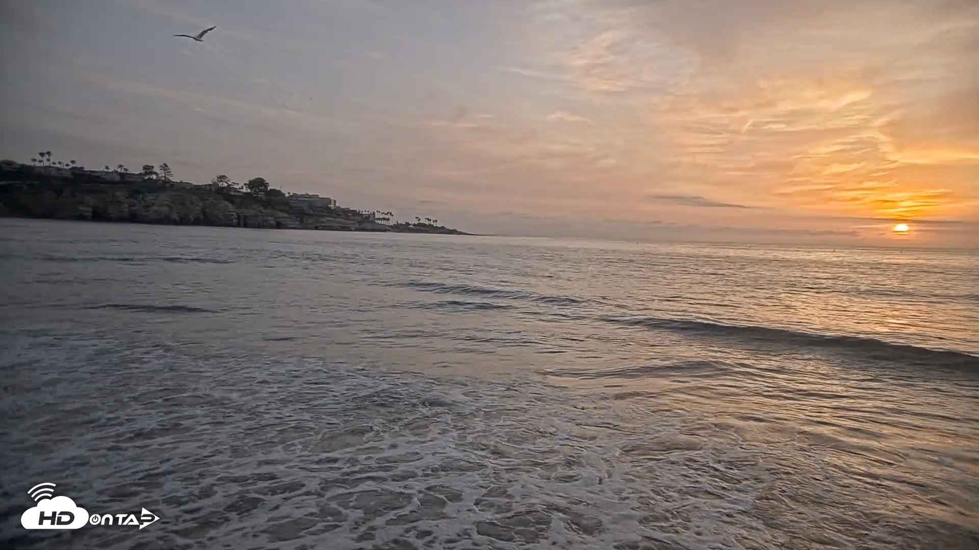 Snapshot of La Jolla Shores Live Surf Cam taken May 12, 2026, 7:32pm PDT