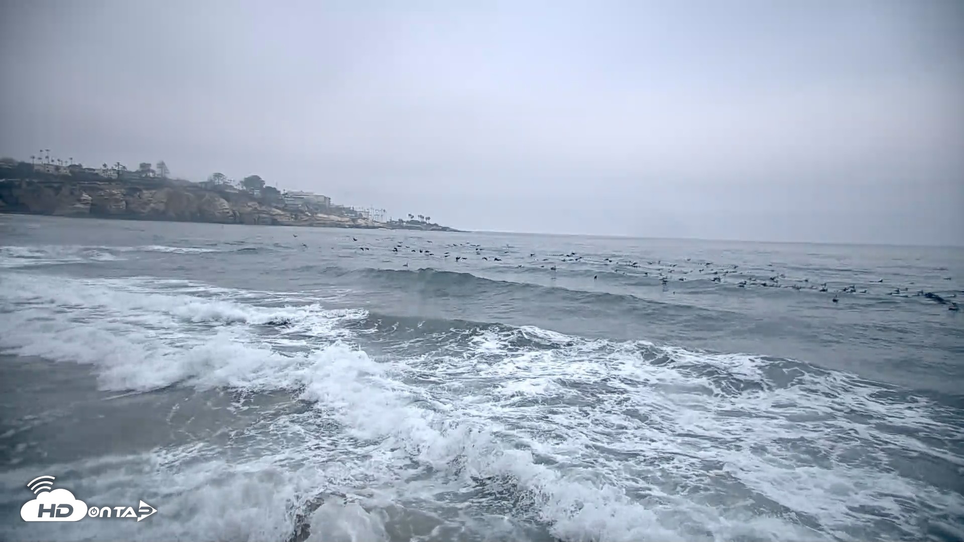 Snapshot of La Jolla Shores Live Surf Cam taken Oct 8, 2026, 7:25am PDT