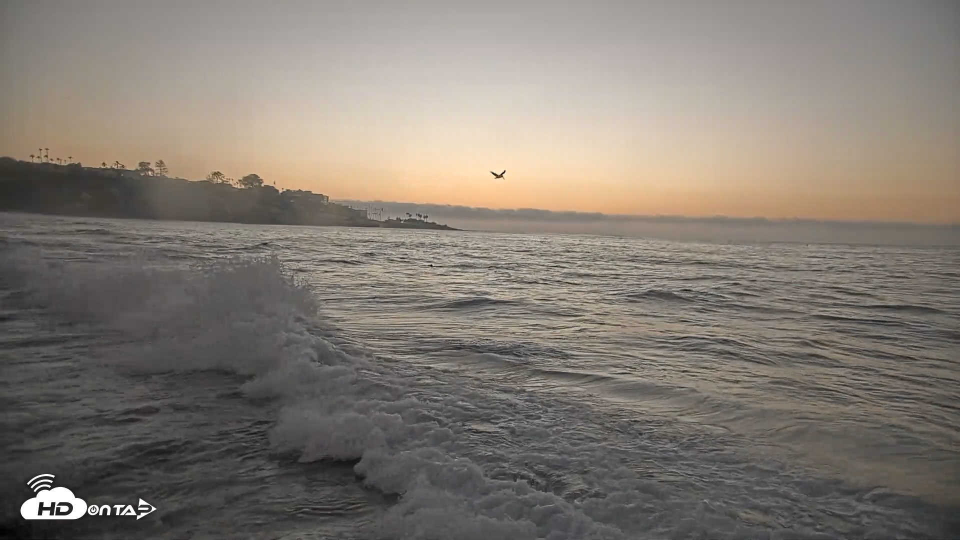 Snapshot of La Jolla Shores Live Surf Cam taken Oct 7, 2026, 6:35pm PDT