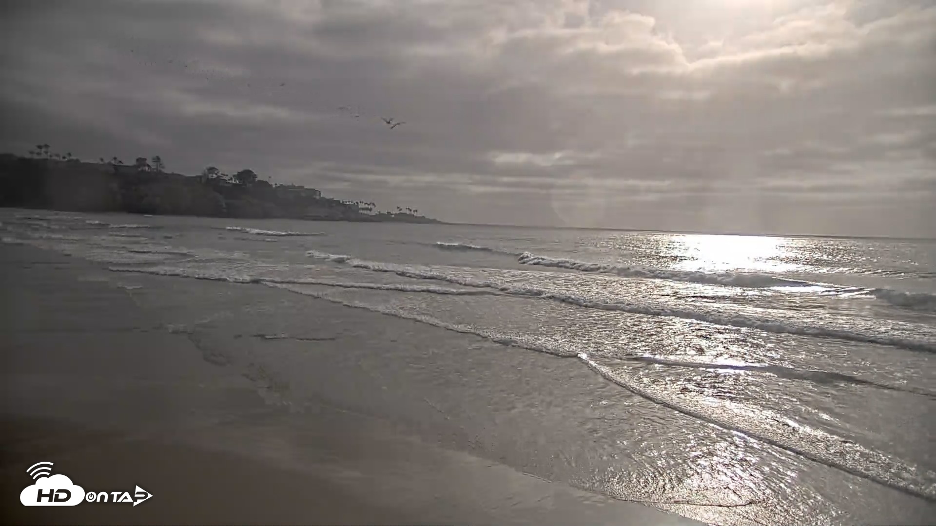 Snapshot of La Jolla Shores Live Surf Cam taken Jun 4, 2026, 6:09pm PDT