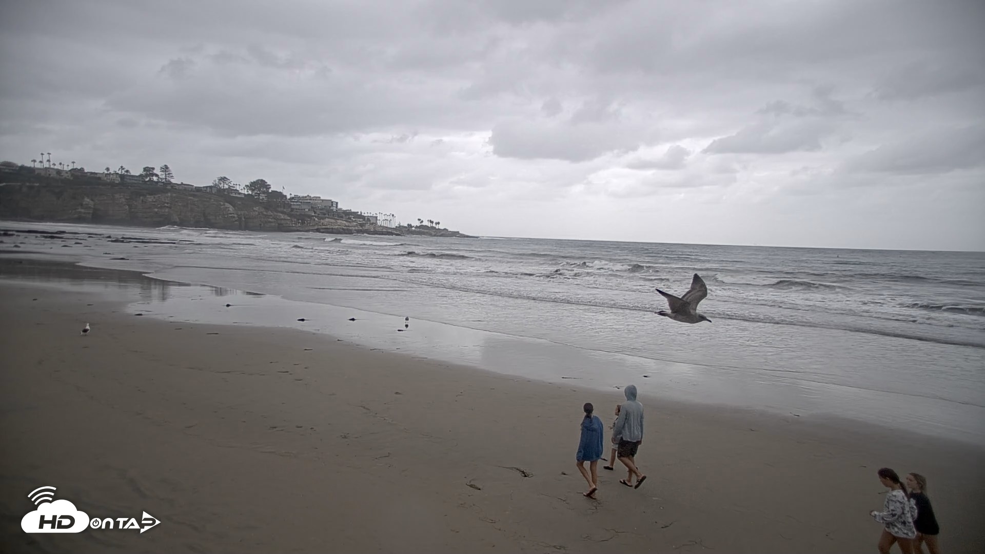 Snapshot of La Jolla Shores Live Surf Cam taken Oct 11, 2026, 4:00pm PDT