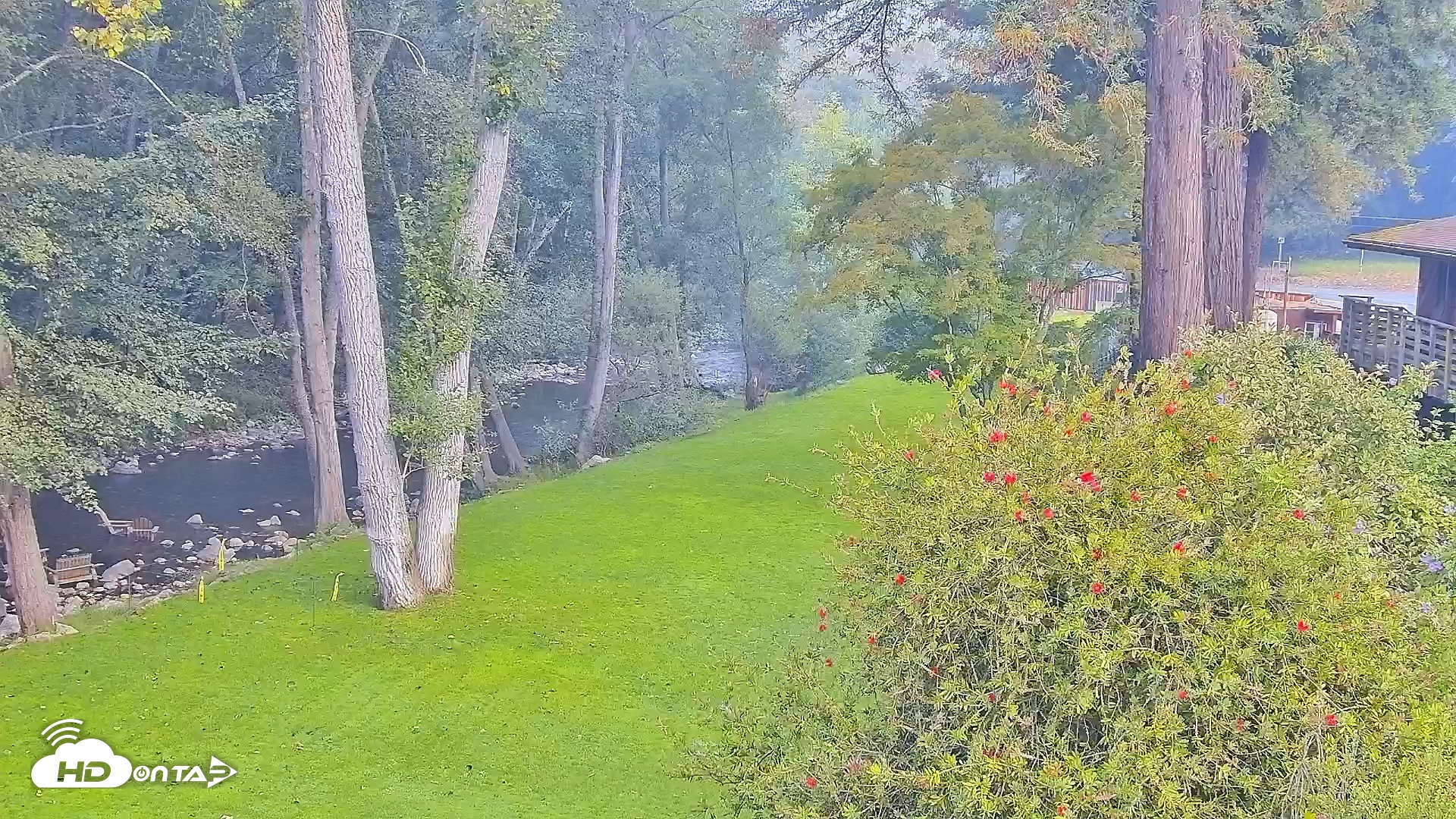 Snapshot of Big Sur River Inn Live Webcam taken Sep 1, 2026, 7:19am PDT