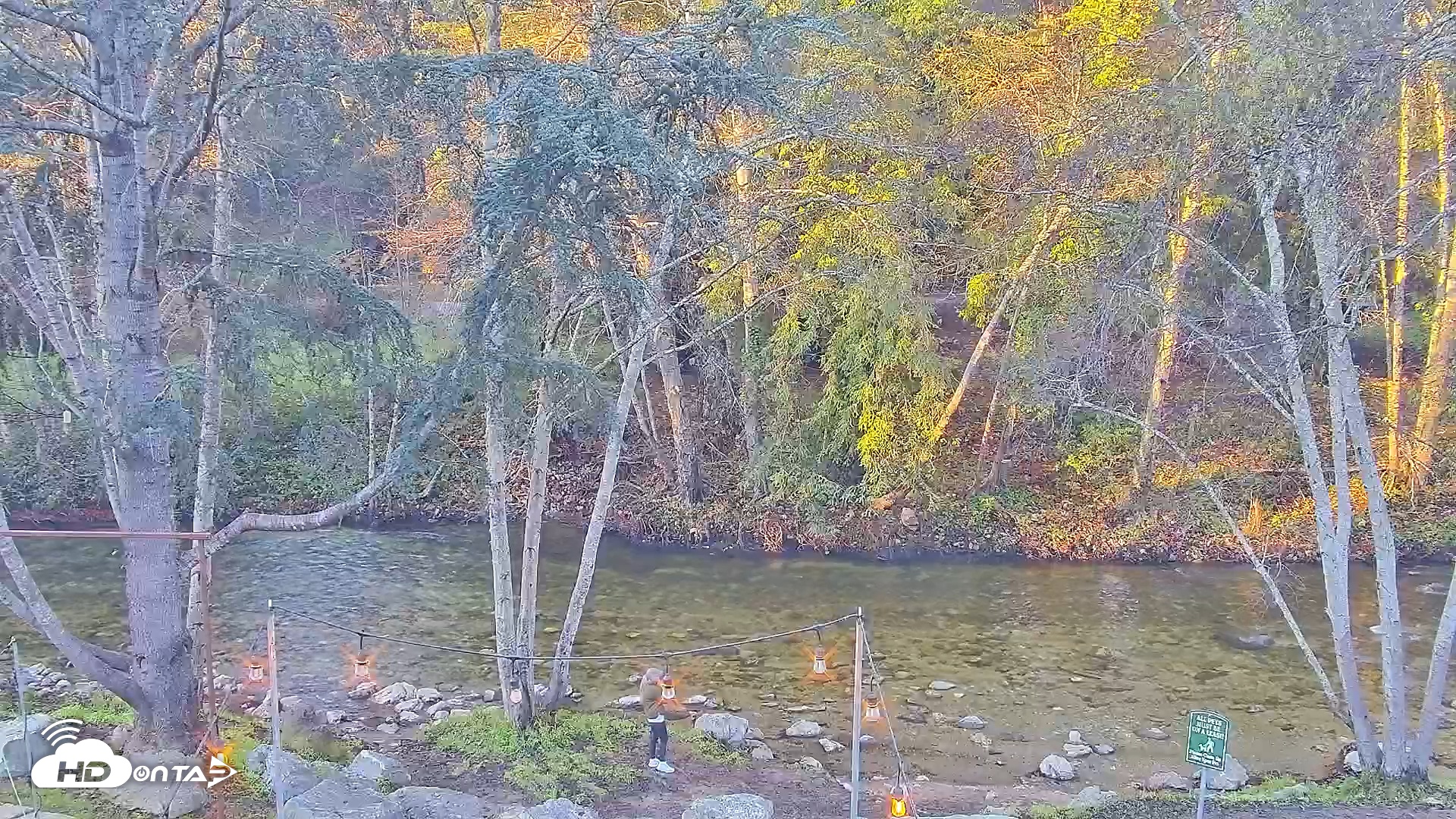 Snapshot of Big Sur River Inn Live Webcam taken Dec 29, 2025, 8:19am PST