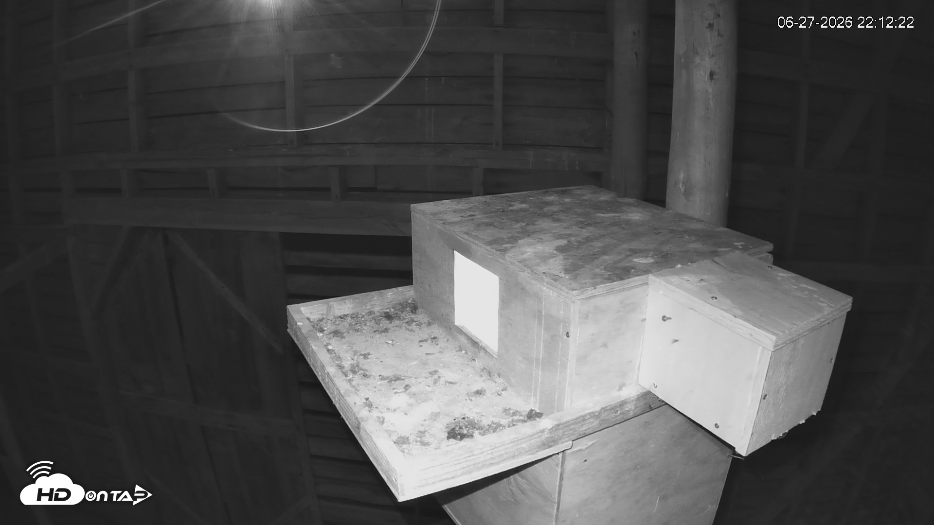 Snapshot of North Carolina Barn Owls Live Cam taken Jun 27, 2026, 10:13pm EDT