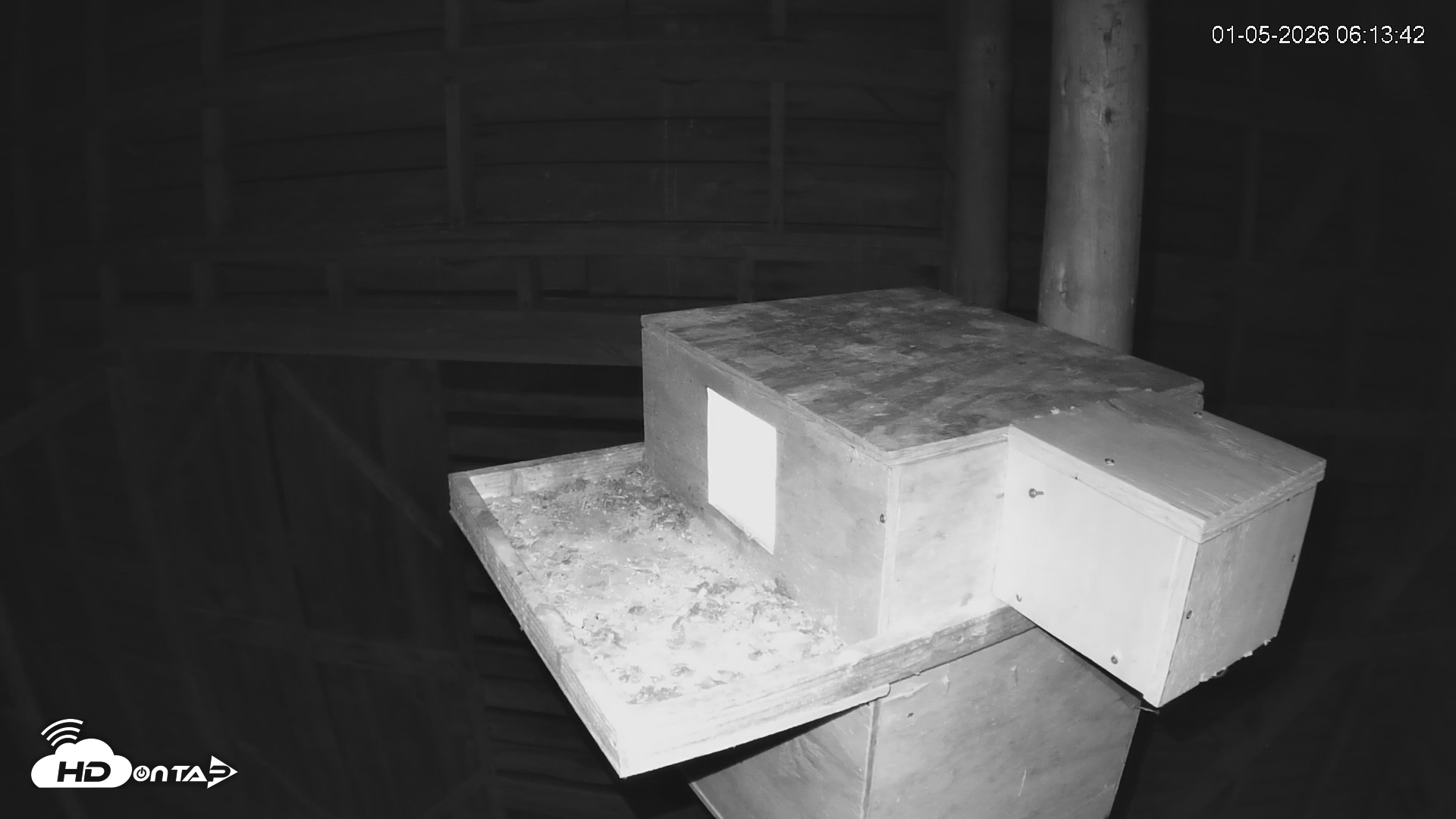 Snapshot of North Carolina Barn Owls Live Cam taken Jan 5, 2026, 6:14am EST