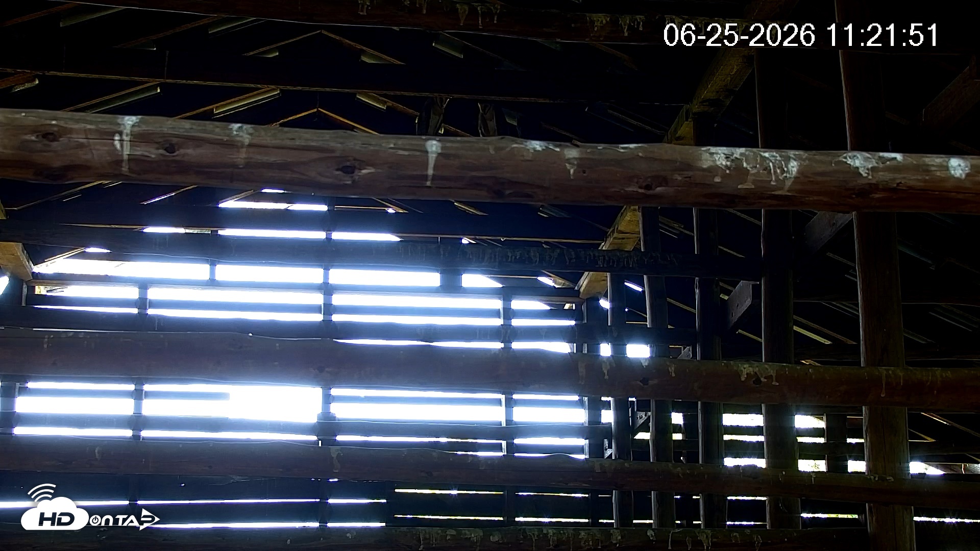 Snapshot of North Carolina Barn Owls Live Cam taken Jun 25, 2026, 11:22am EDT