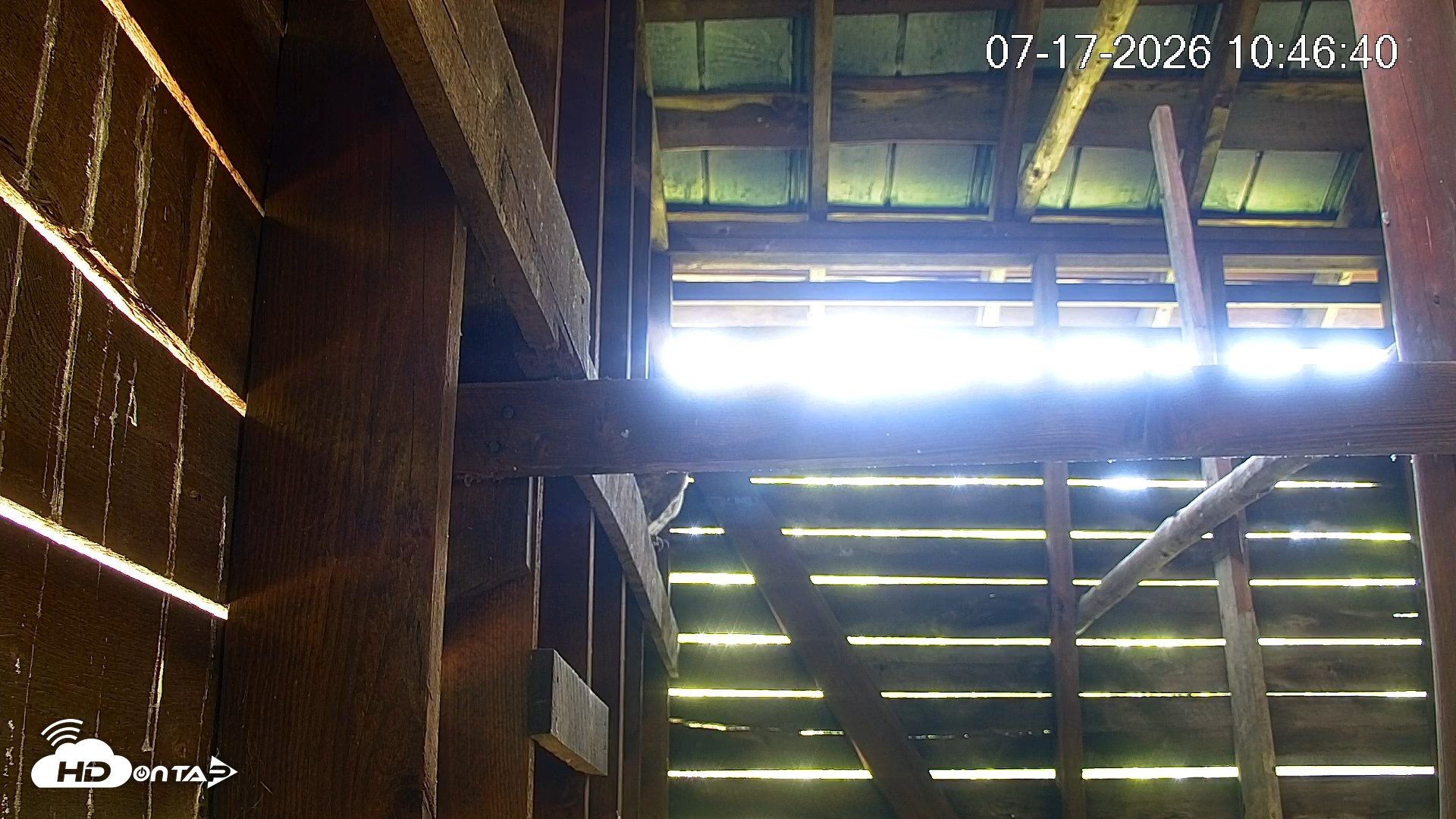 Snapshot of North Carolina Barn Owls Live Cam taken Jul 17, 2026, 10:47am EDT