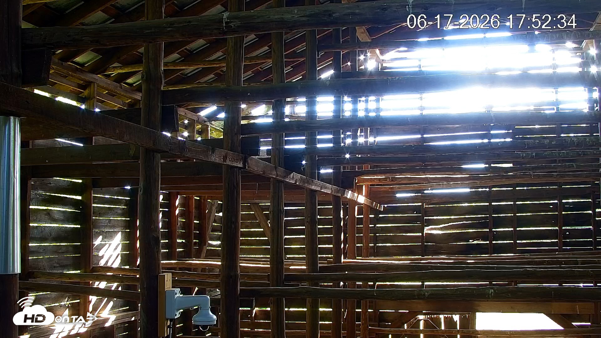 Snapshot of North Carolina Barn Owls Live Cam taken Jun 17, 2026, 5:56pm EDT