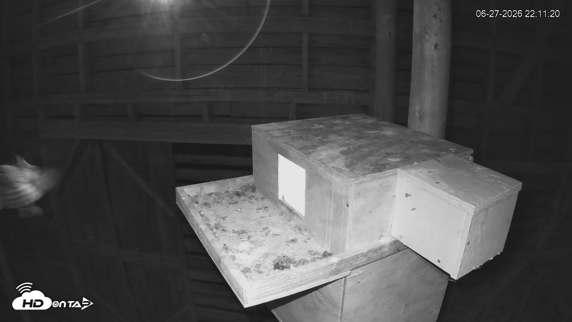 Snapshot of North Carolina Barn Owls Live Cam taken Jun 27, 2026, 10:12pm EDT
