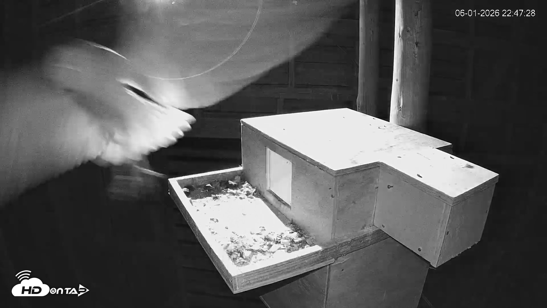Snapshot of North Carolina Barn Owls Live Cam taken Jun 1, 2026, 10:48pm EDT