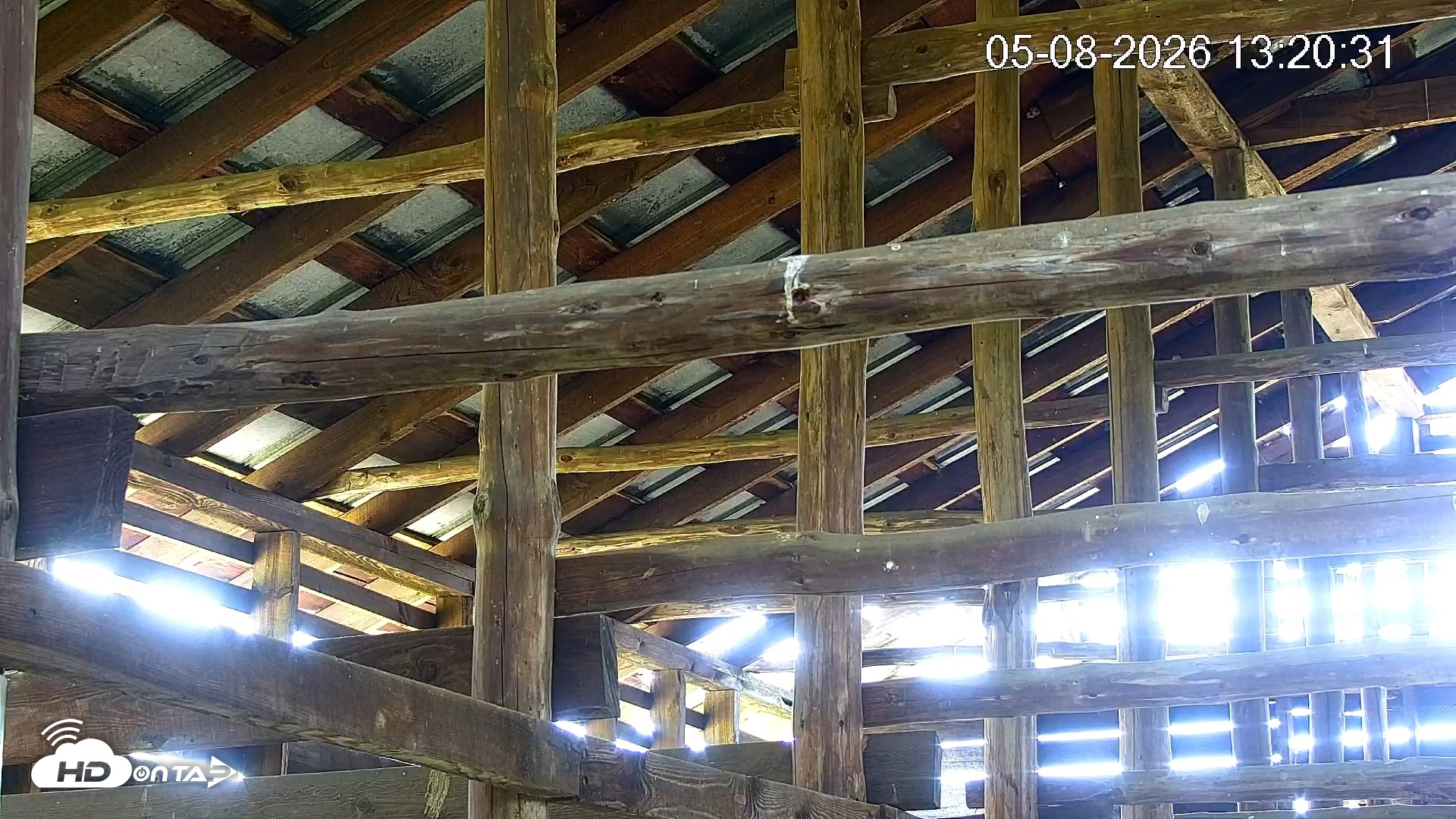 Snapshot of North Carolina Barn Owls Live Cam taken May 8, 2026, 1:21pm EDT