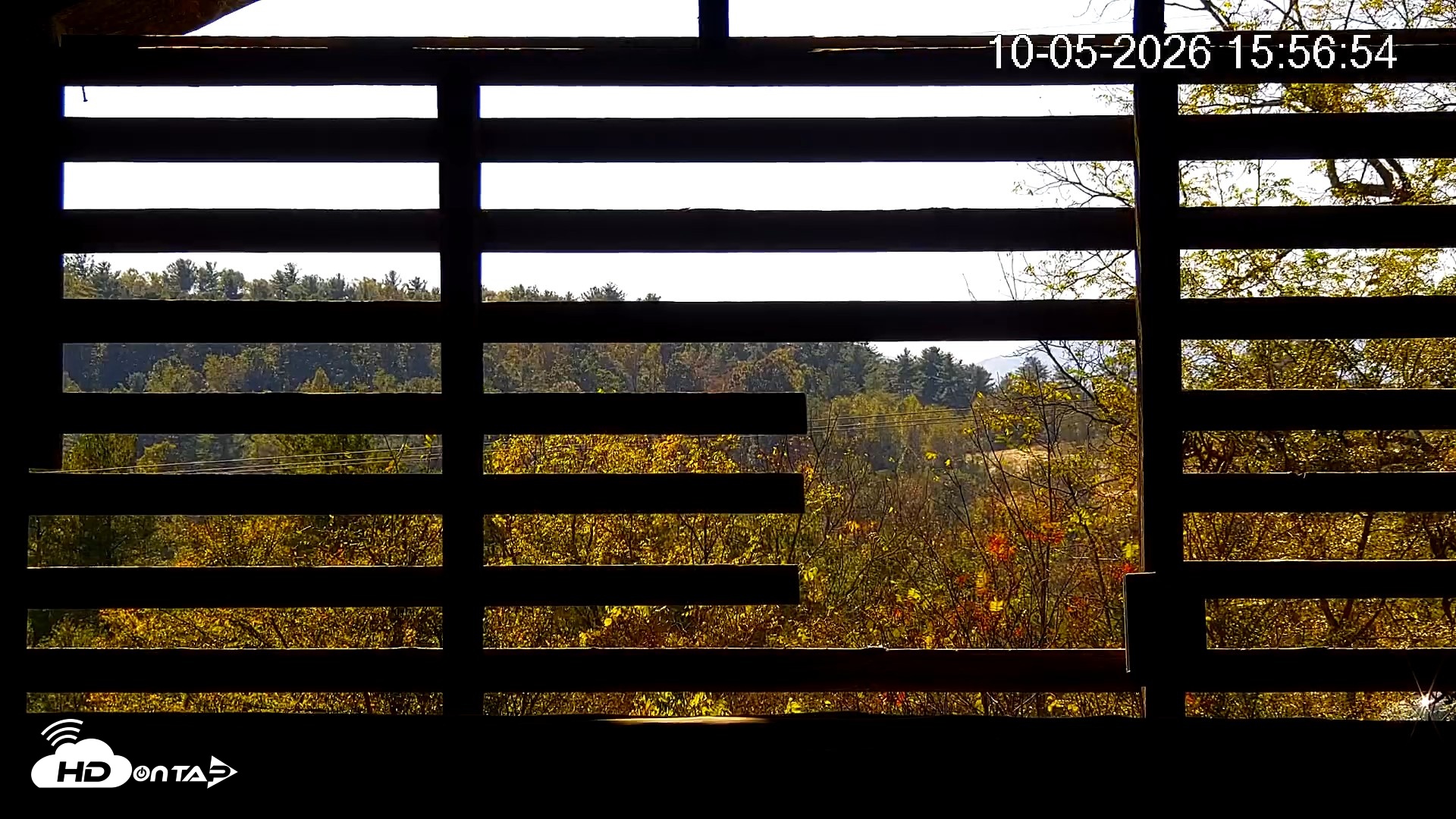 Snapshot of North Carolina Barn Owls Live Cam taken Oct 5, 2026, 3:57pm EDT