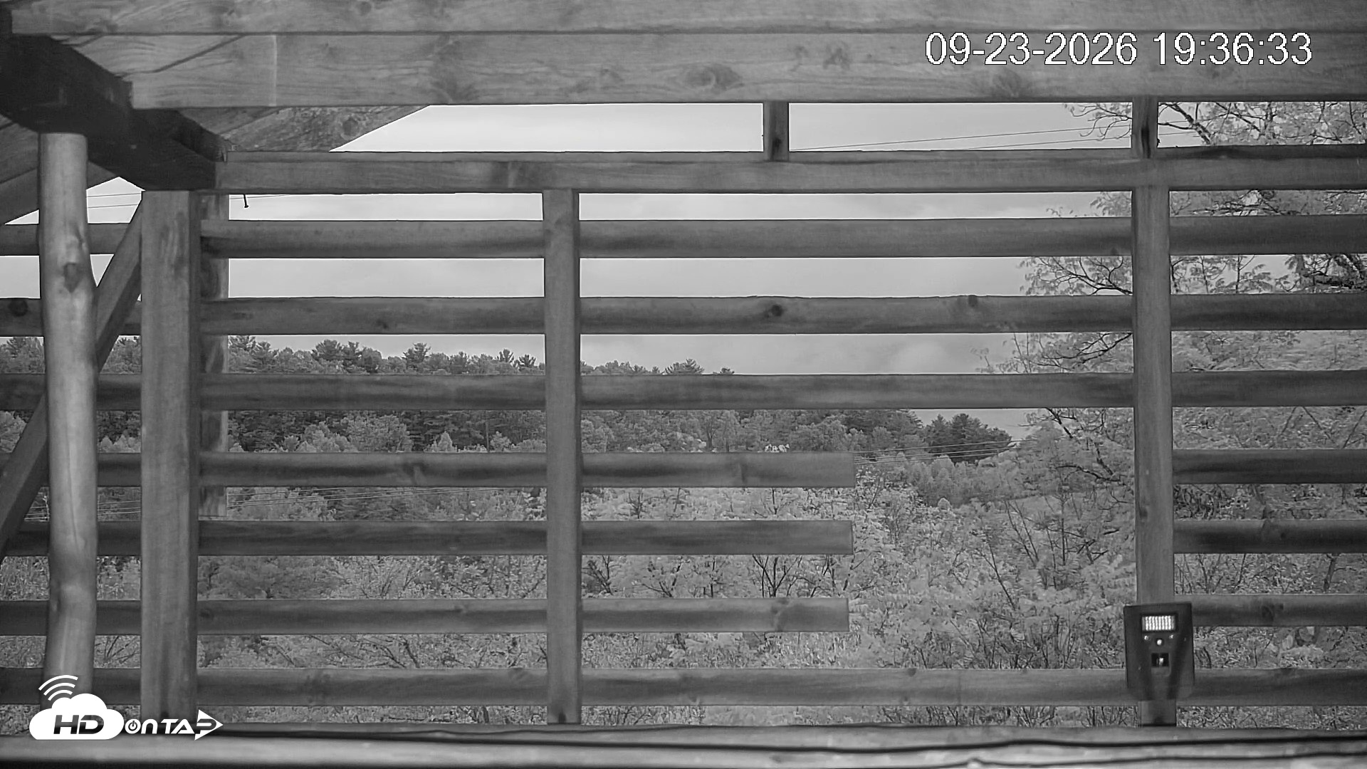 Snapshot of North Carolina Barn Owls Live Cam taken Sep 23, 2026, 7:37pm EDT