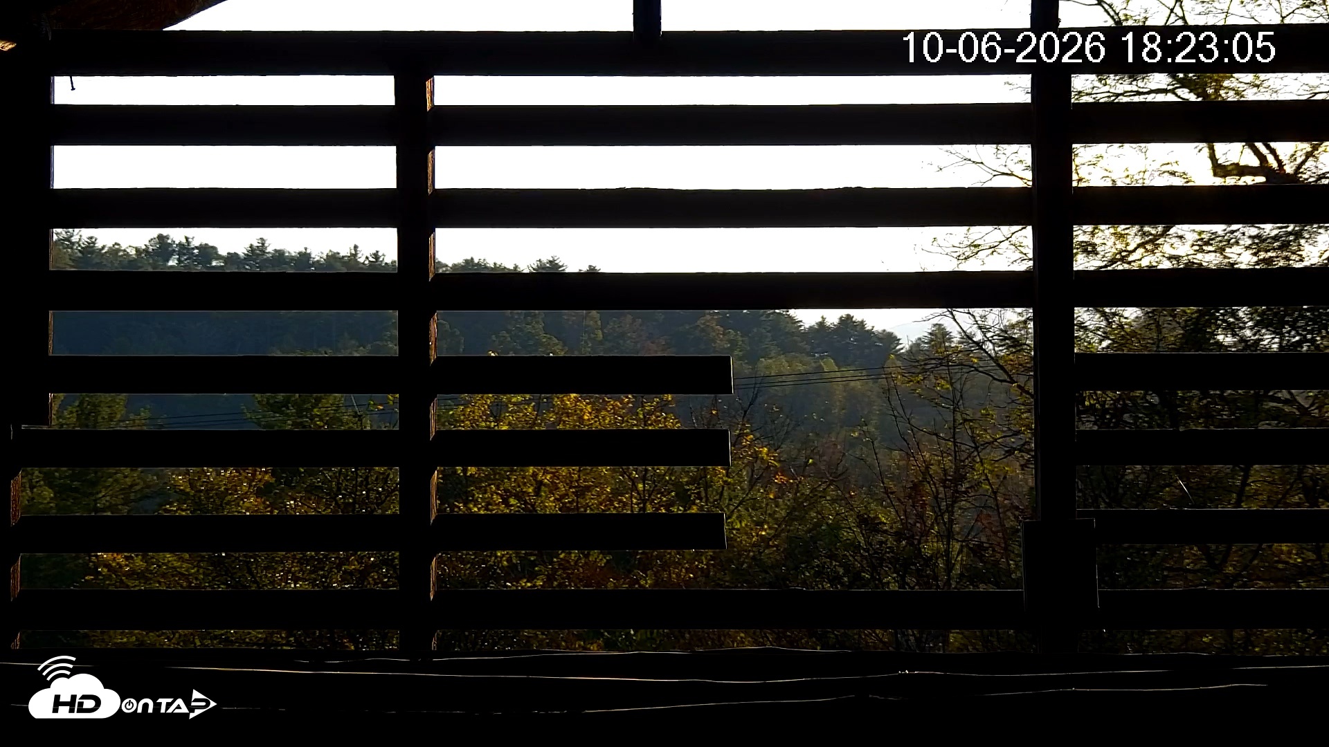 Snapshot of North Carolina Barn Owls Live Cam taken Oct 6, 2026, 6:23pm EDT